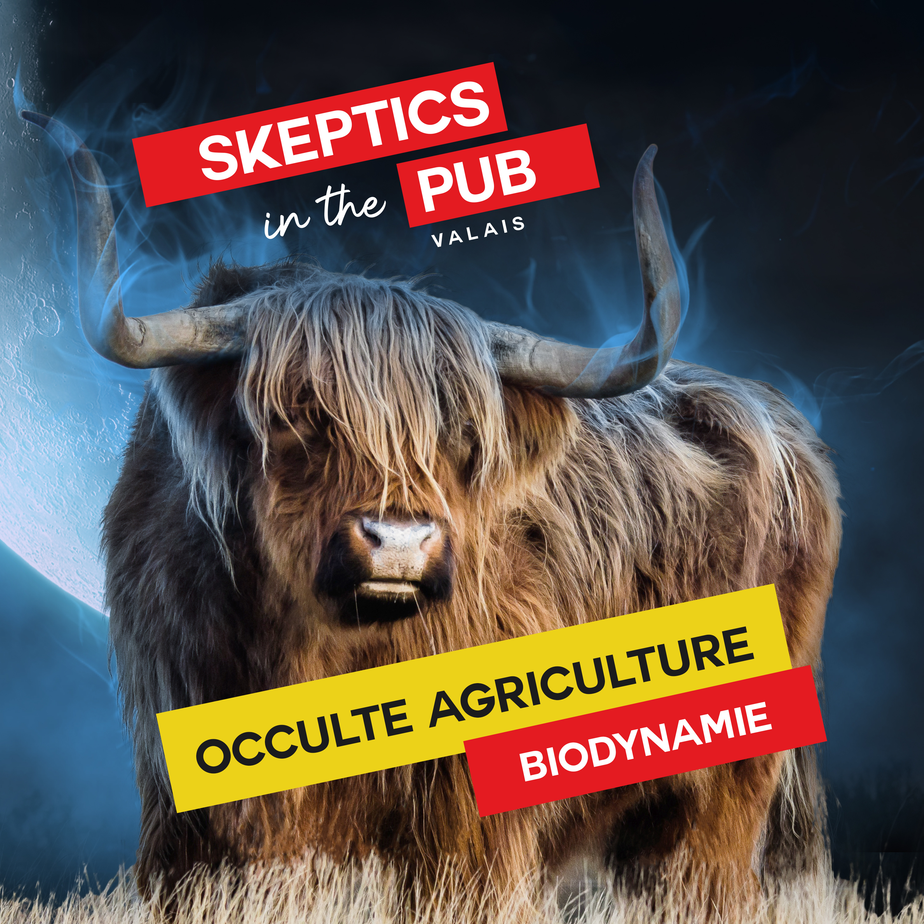 Skeptics in the Pub - Valais