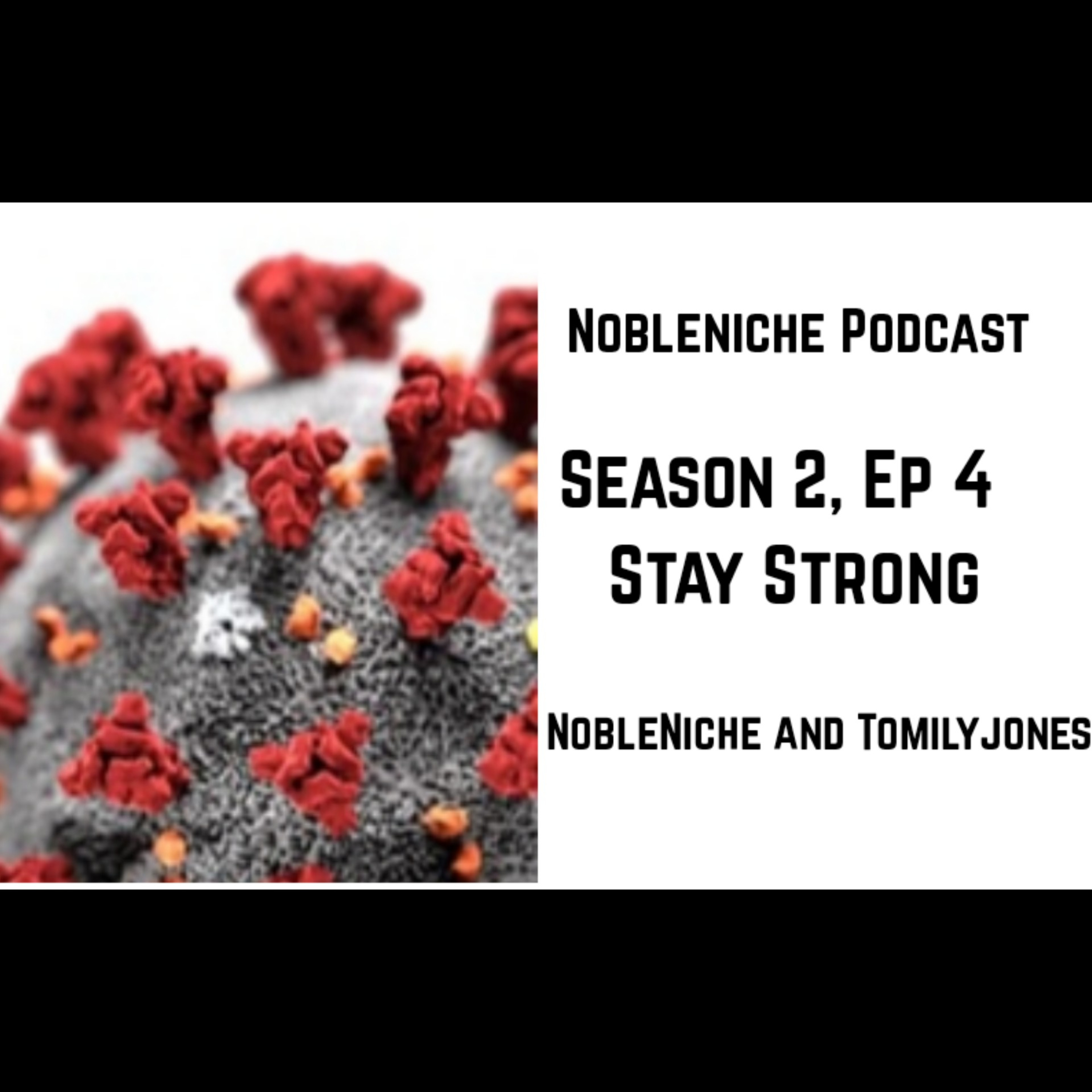 Noble Niche Podcast