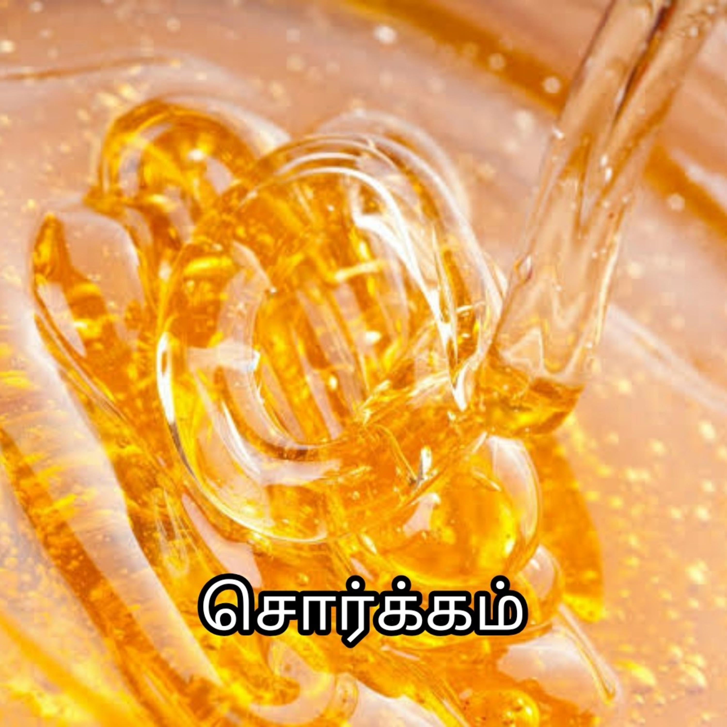 164. சொர்க்கத்தில் மரம்🌲
 episode artwork