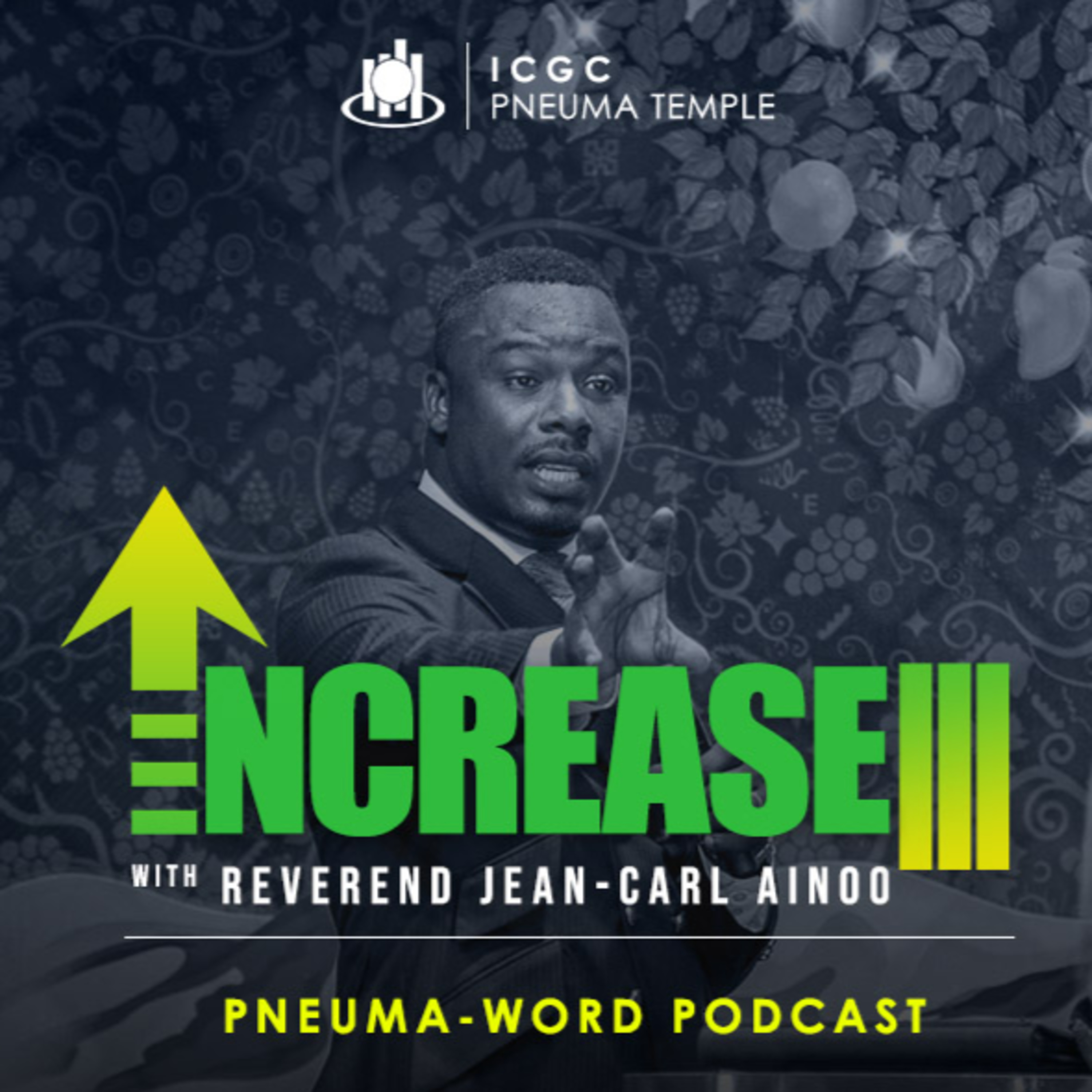 Increase Part 3 - Building Capacity episode artwork