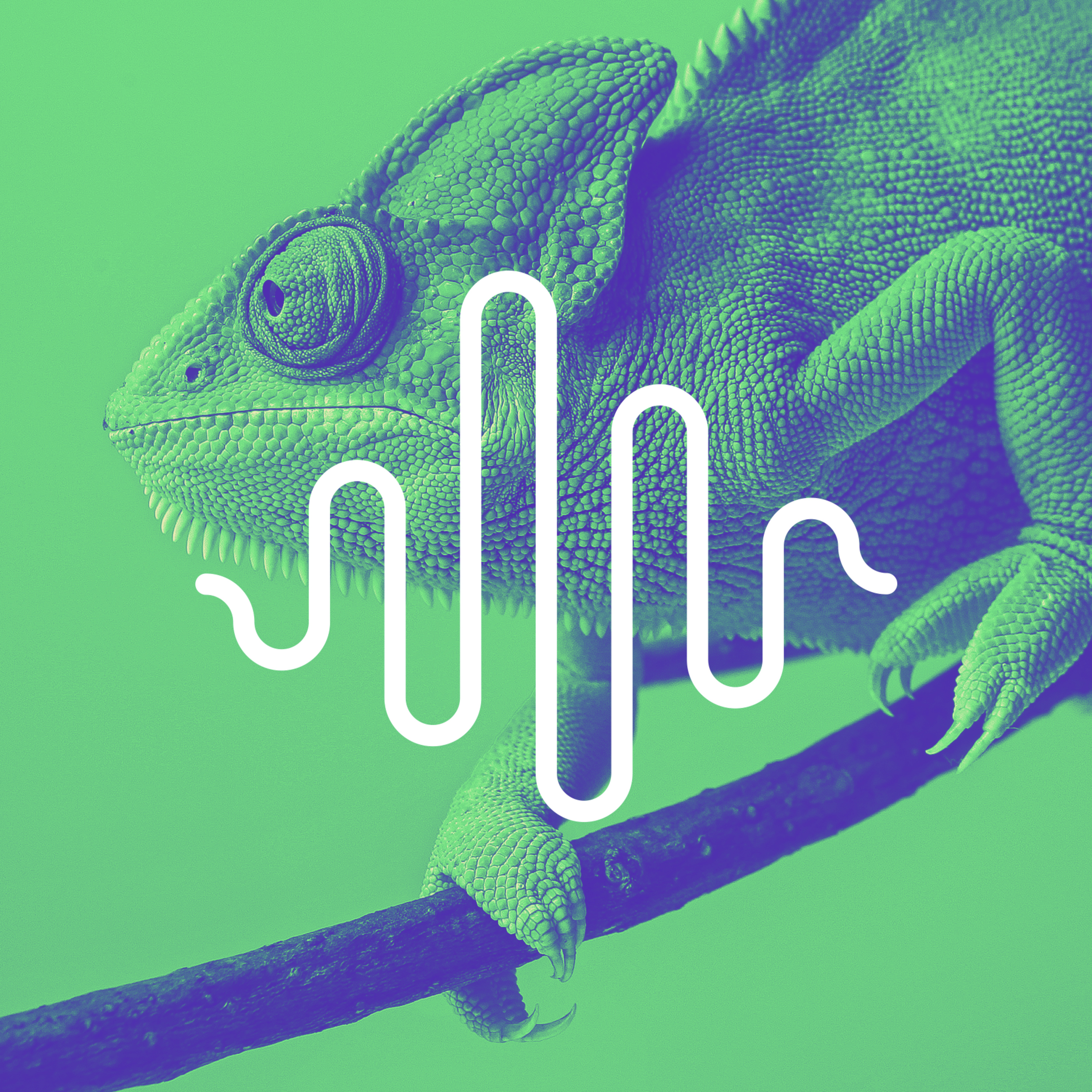 Prodcast #9 - Transição de dev para PO
