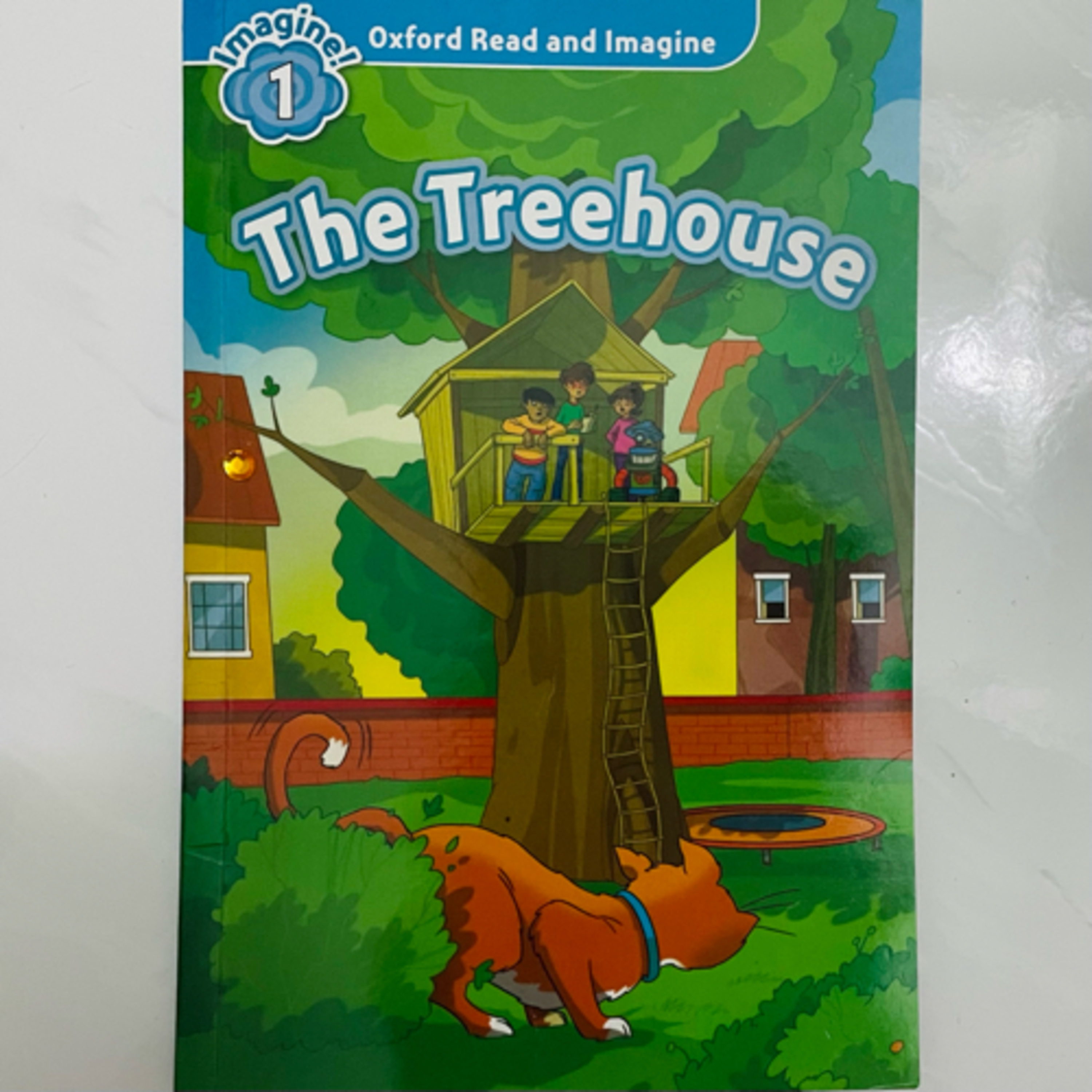 Children Story Book | Young Readers Book | Fav Must-Read Book Series feat Usborne, Oxford, Ladybird