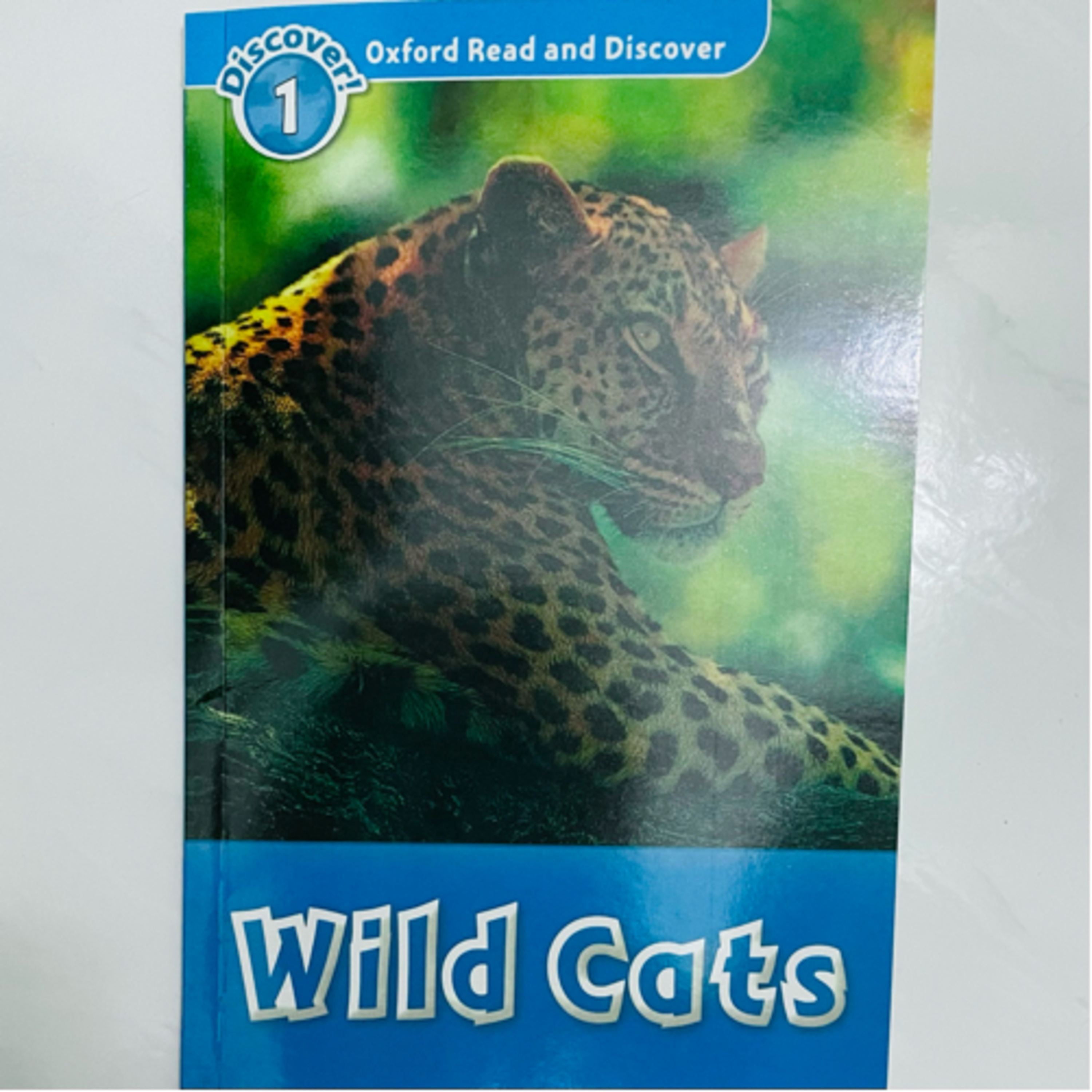 Children Story Book | Young Readers Book | Fav Must-Read Book Series feat Usborne, Oxford, Ladybird