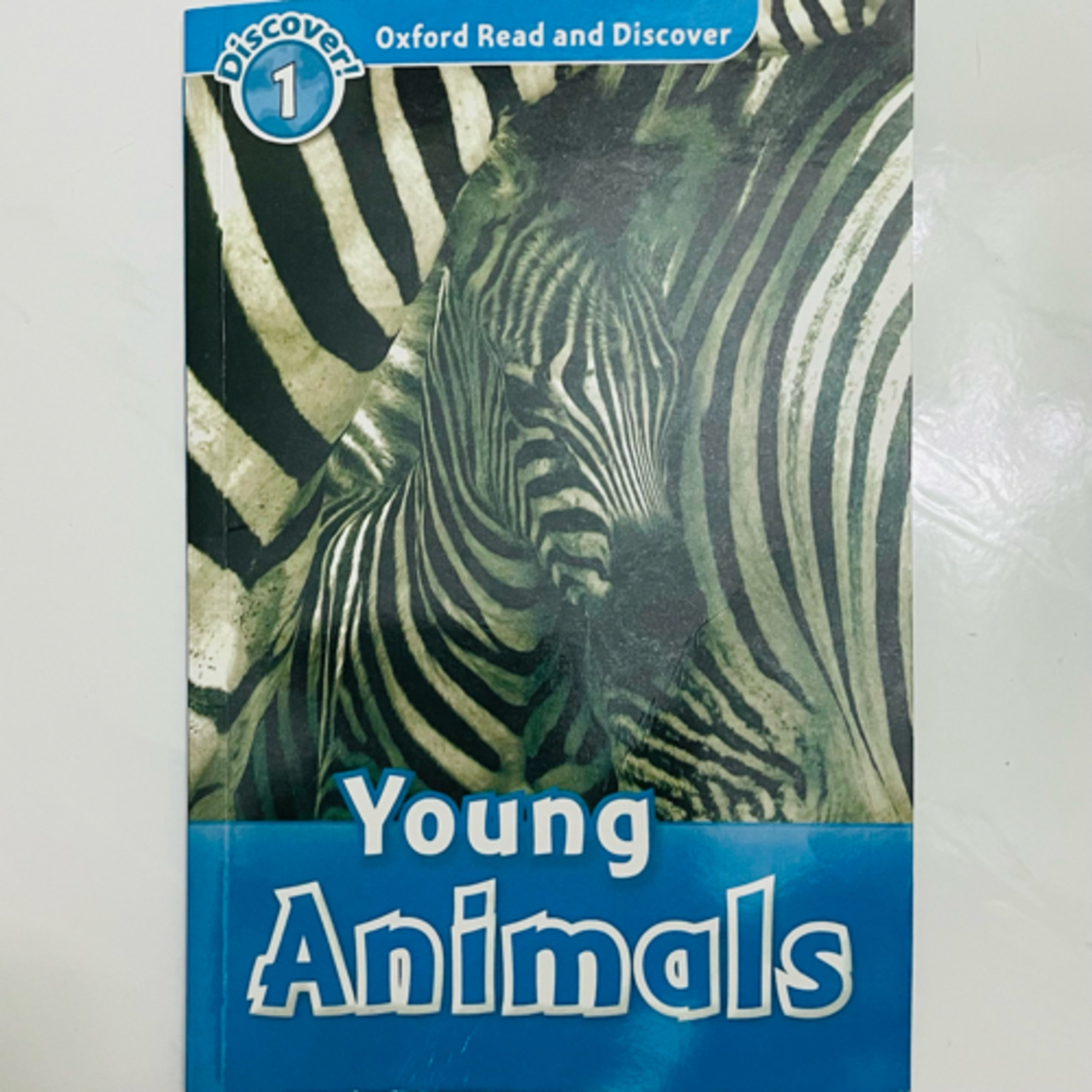 Children Story Book | Young Readers Book | Fav Must-Read Book Series feat Usborne, Oxford, Ladybird
