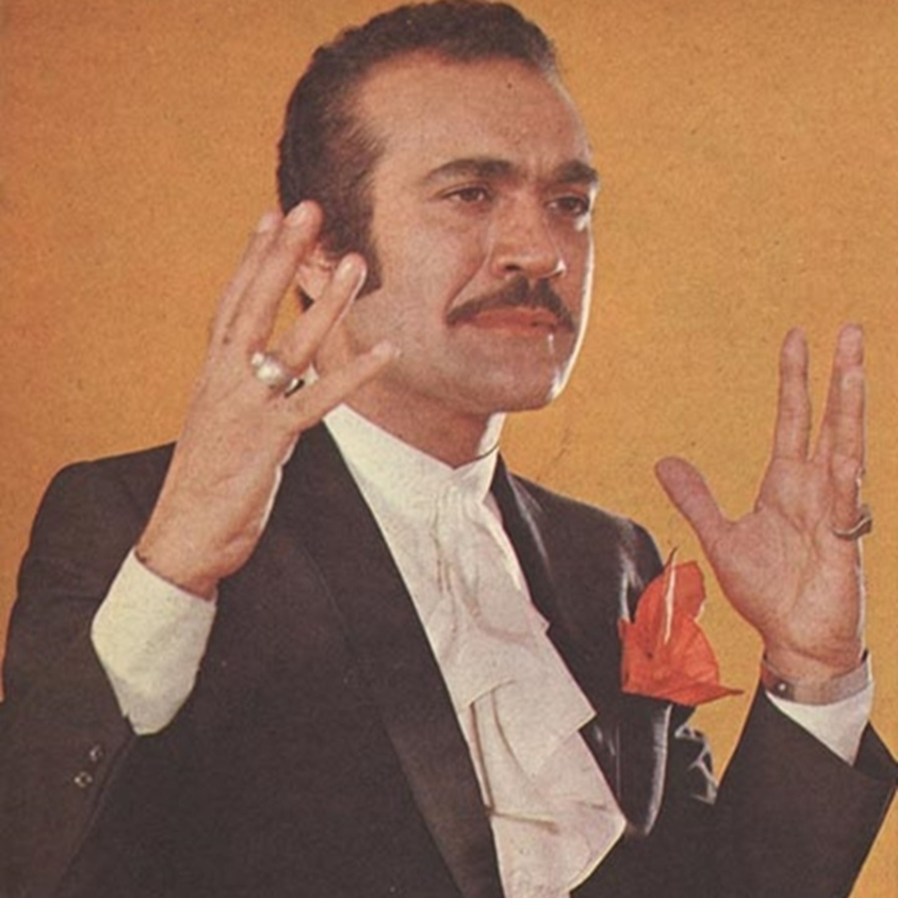 Sevgili Feridun