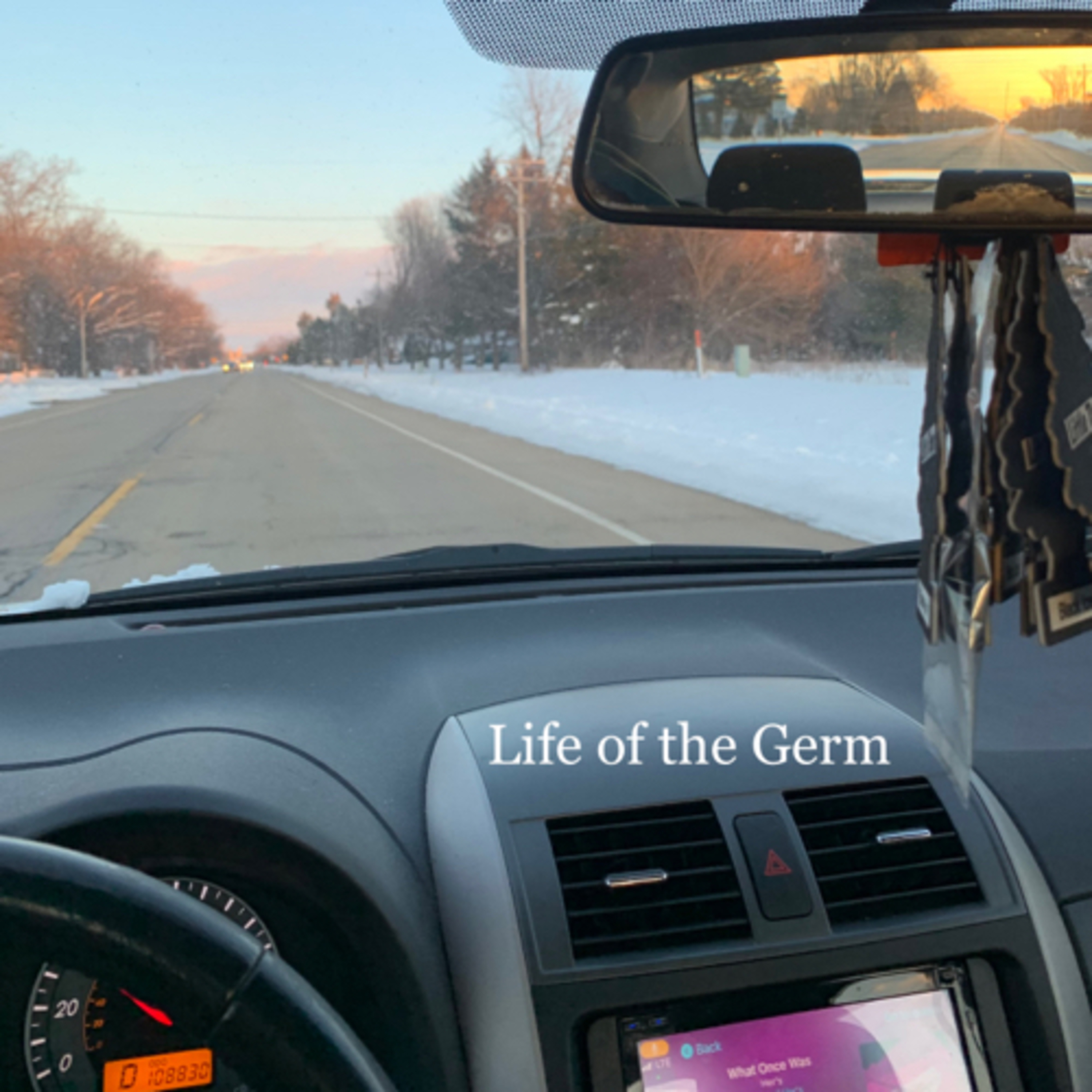 Life of the Germ • The Adventure of Now episode artwork