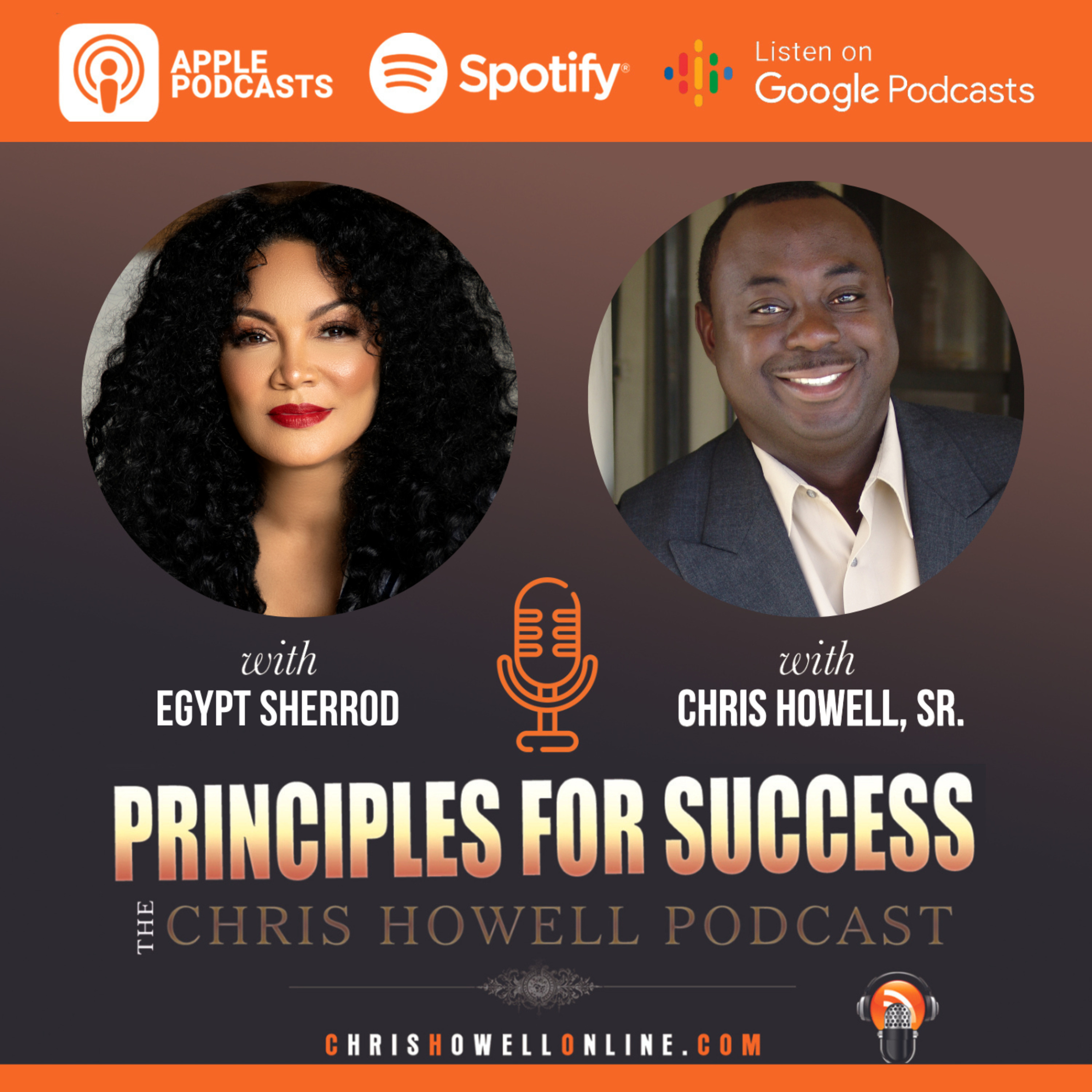 Principles For Success