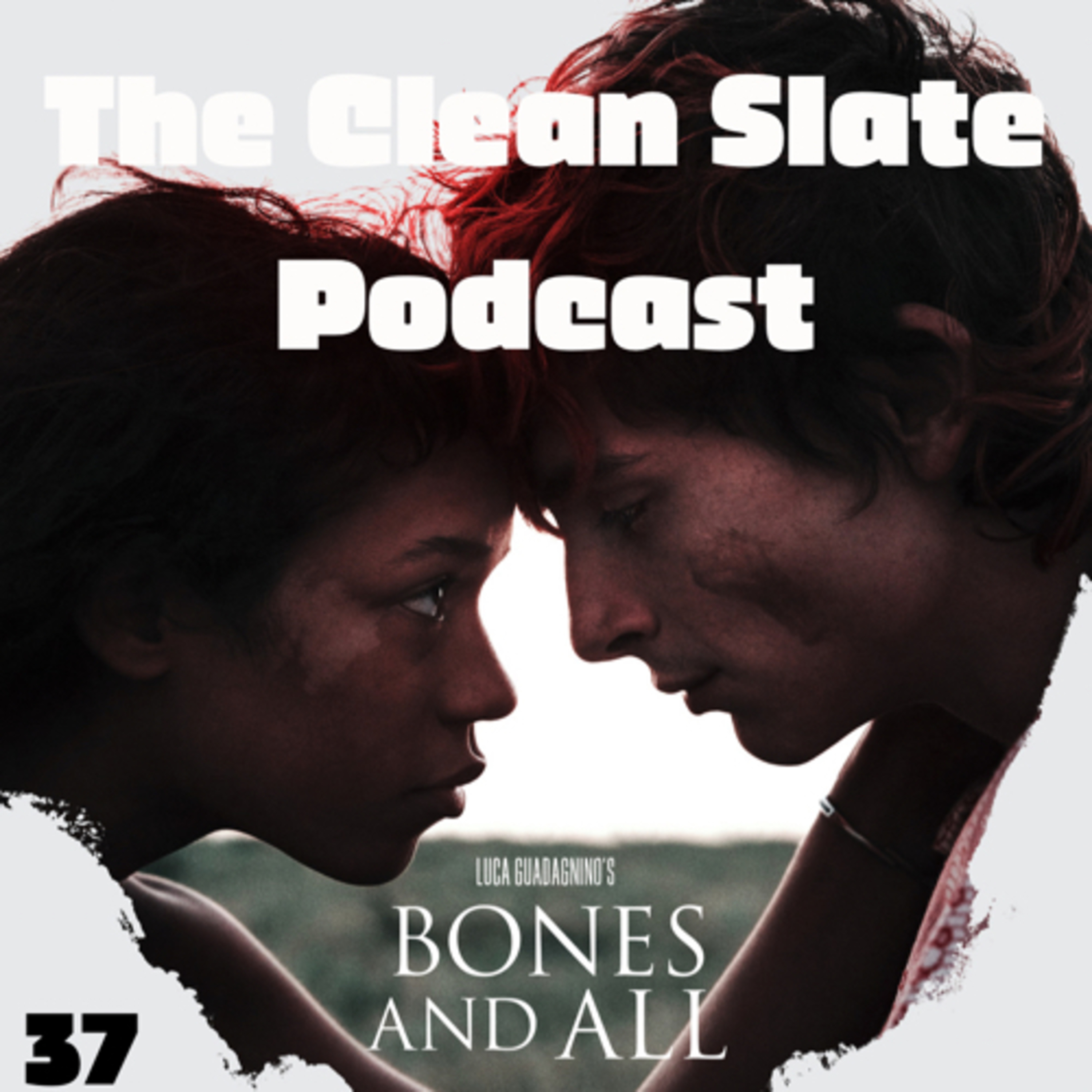 Clean Slate Video Club