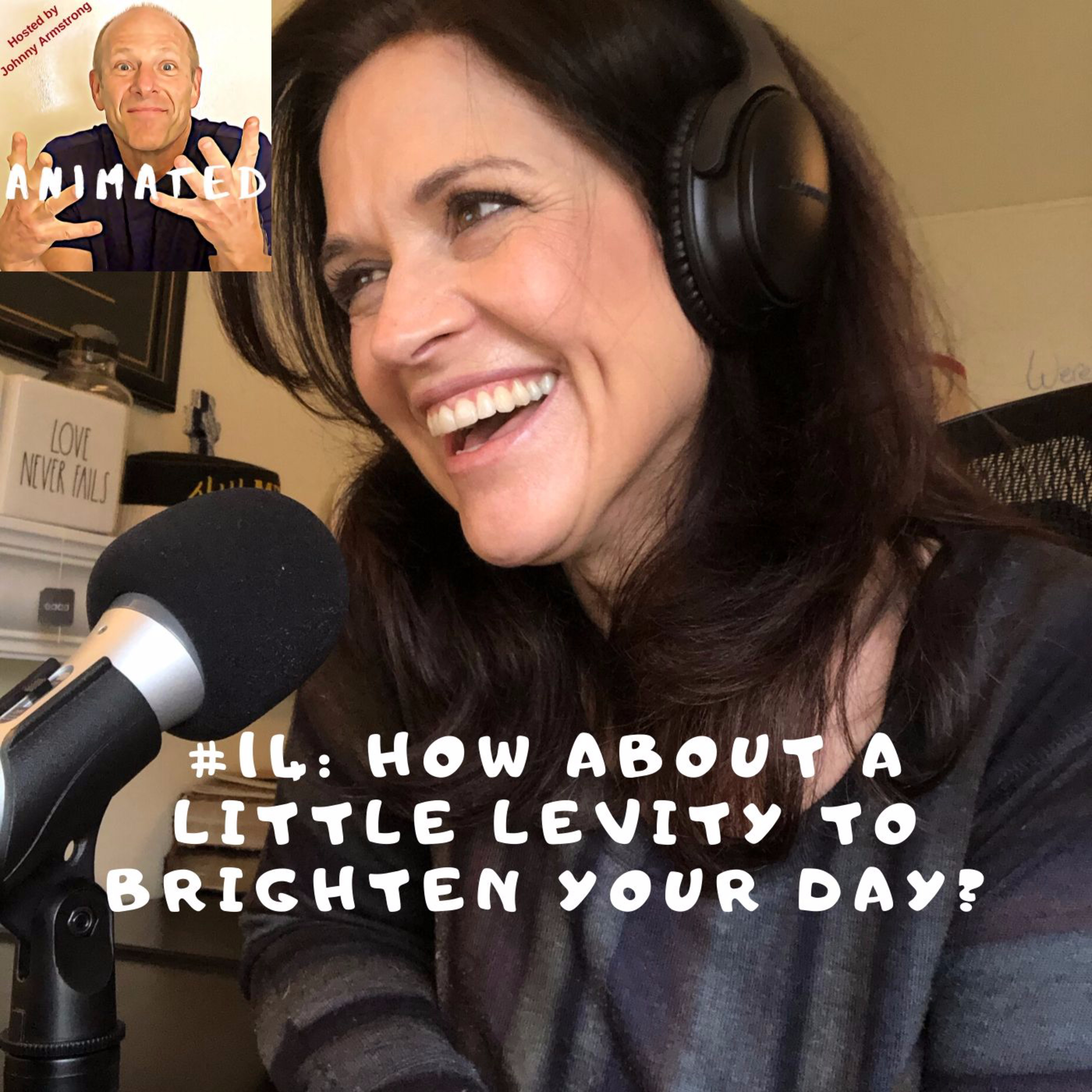 #14: How about a little levity to brighten your day? episode artwork