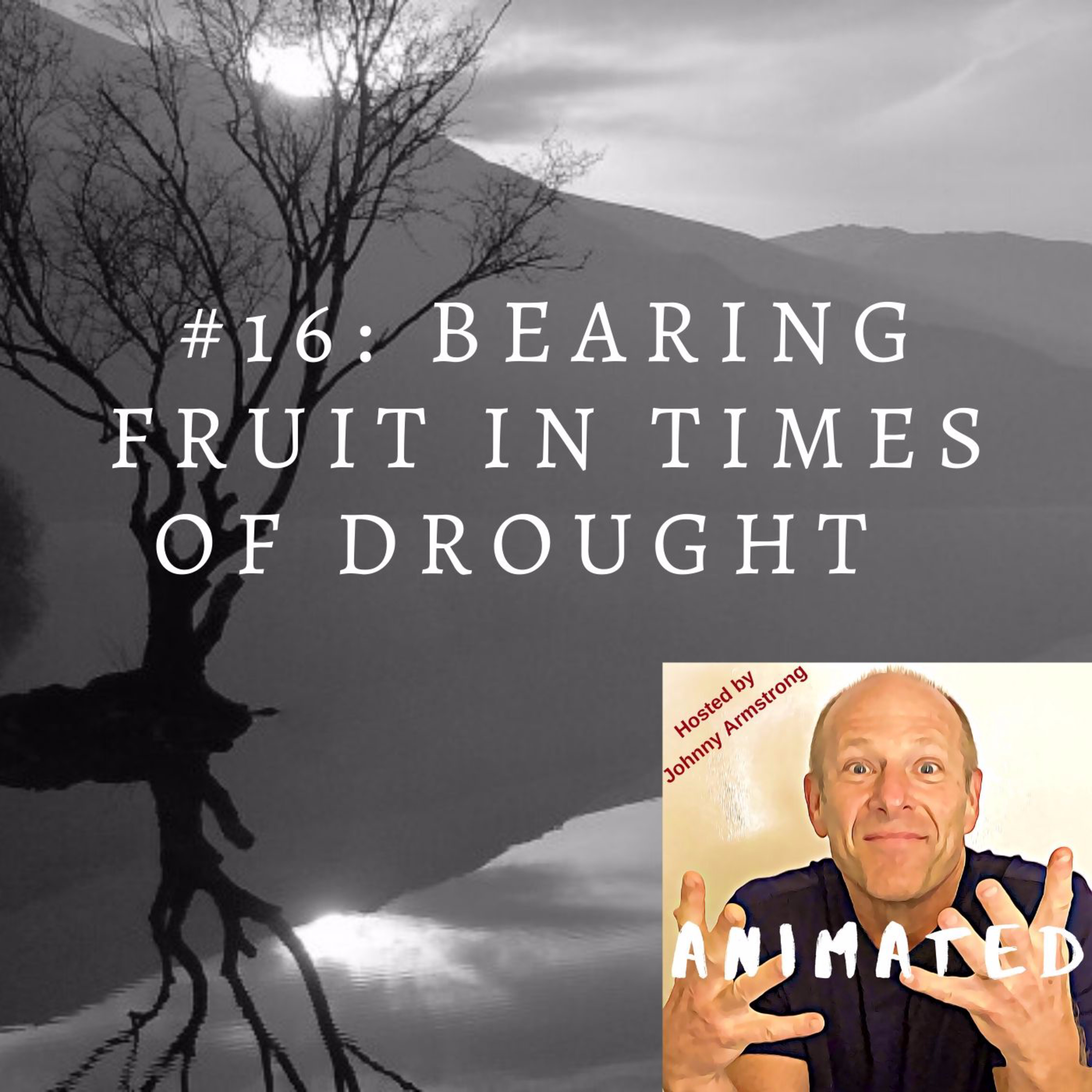 #16: Bearing fruit in times of drought episode artwork