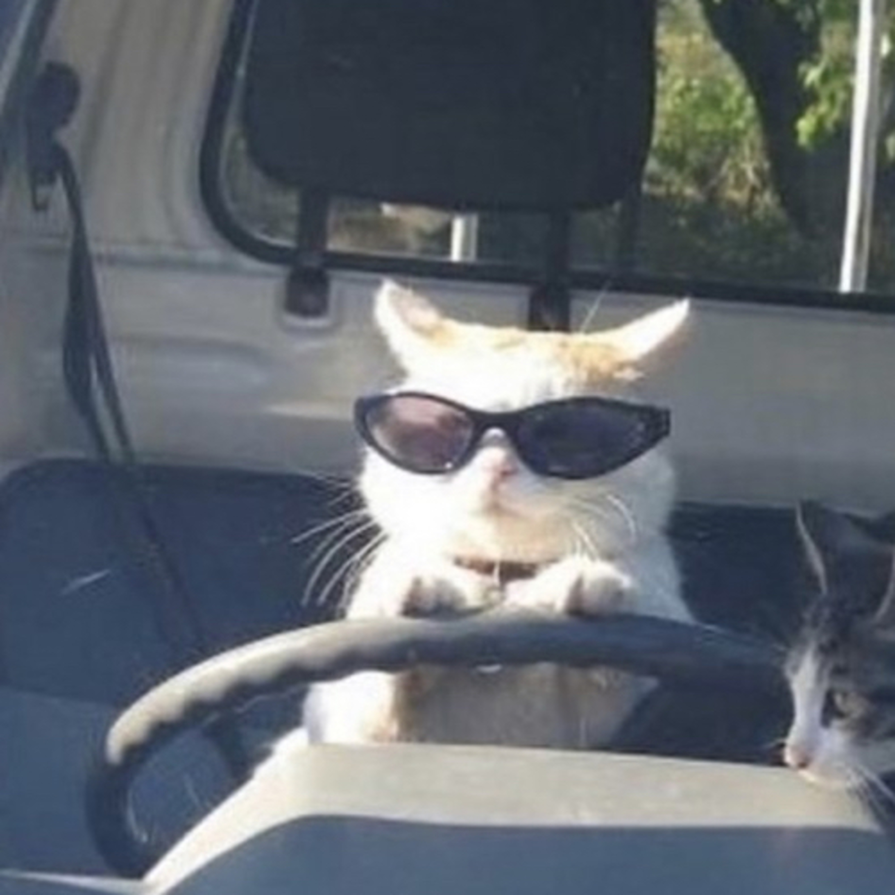 Drive? Dont mind if I do :)  episode artwork