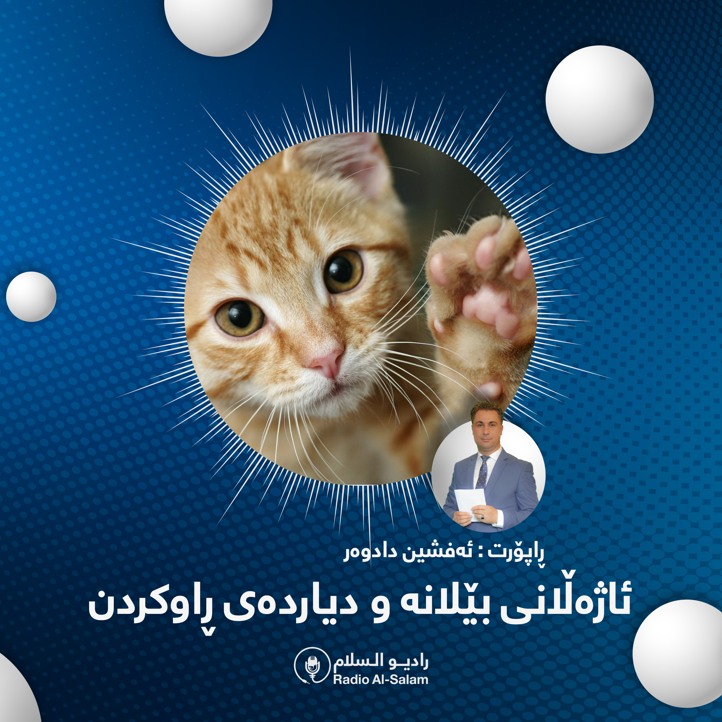 کاور ئاژەڵانی بێلانە و دیاردەی ڕاوکردن