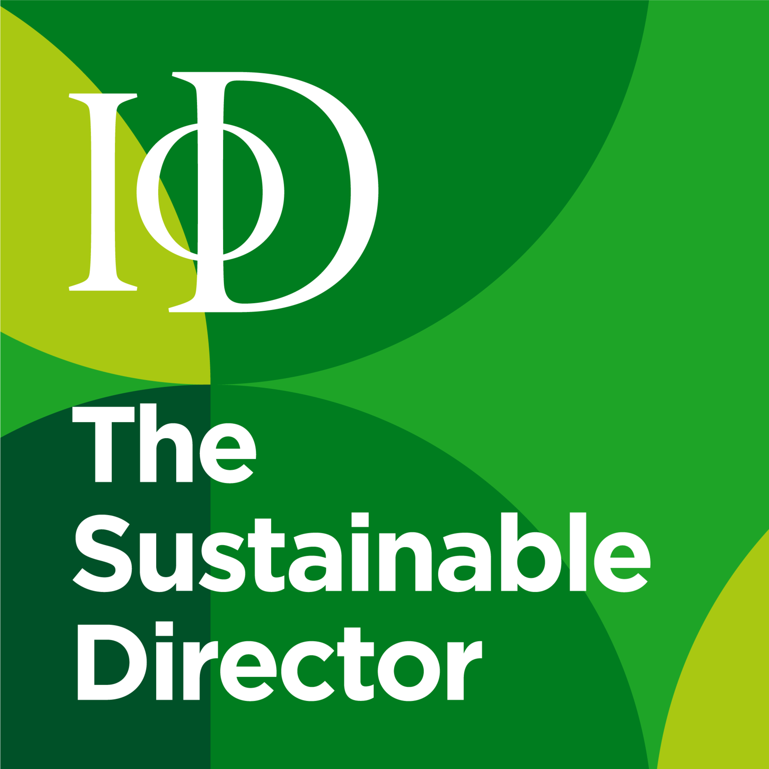 The Sustainable Director