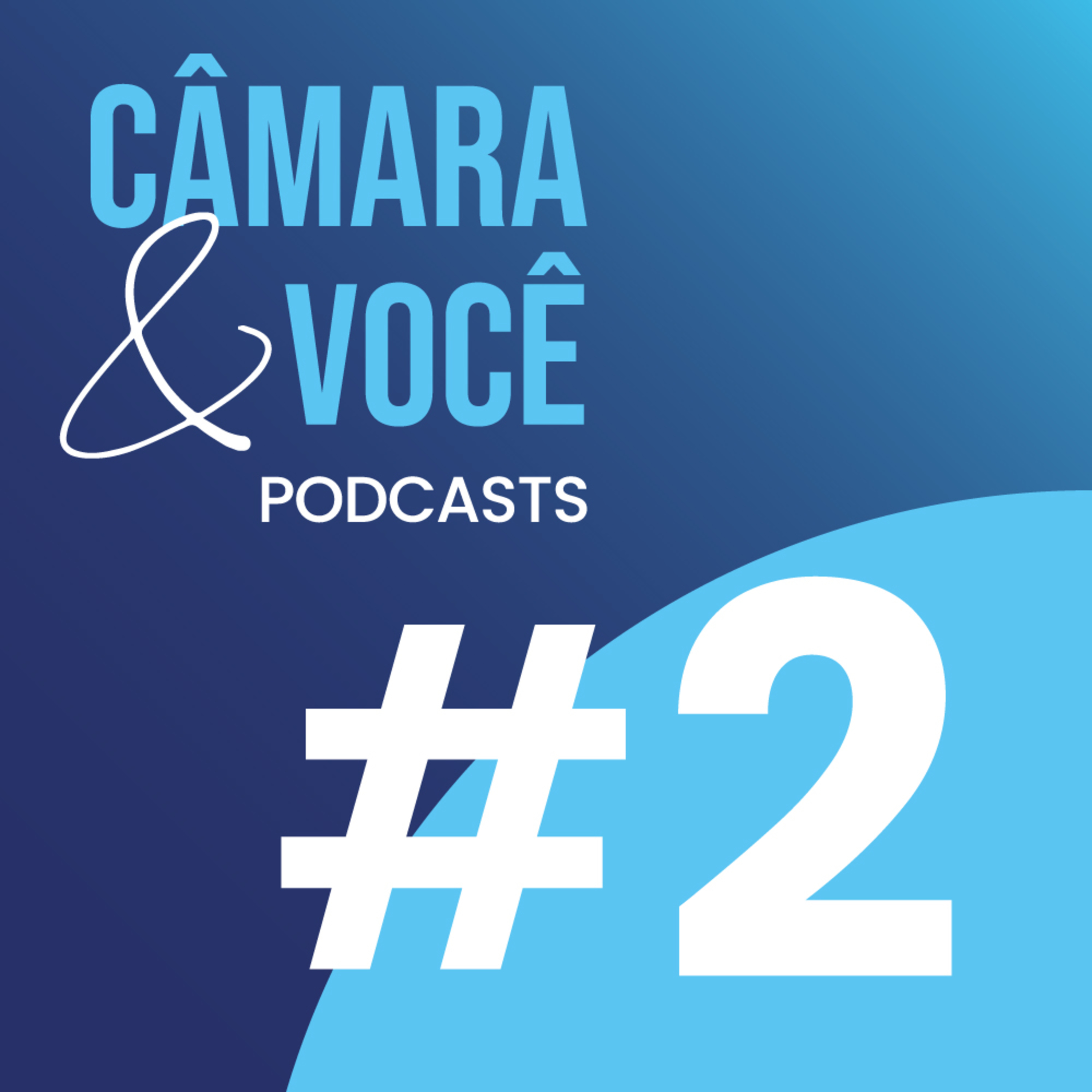 Câmara&Você
