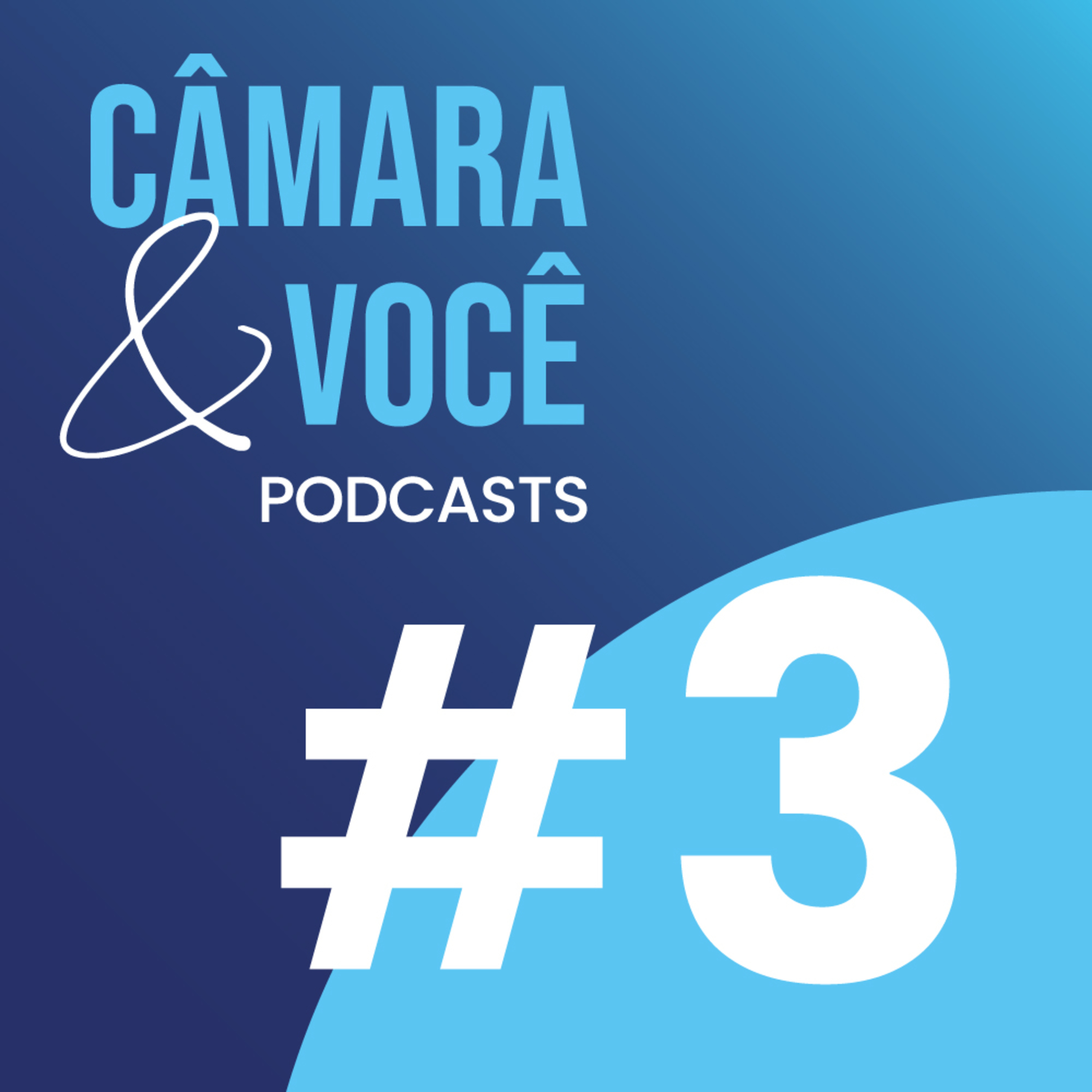 Câmara&Você