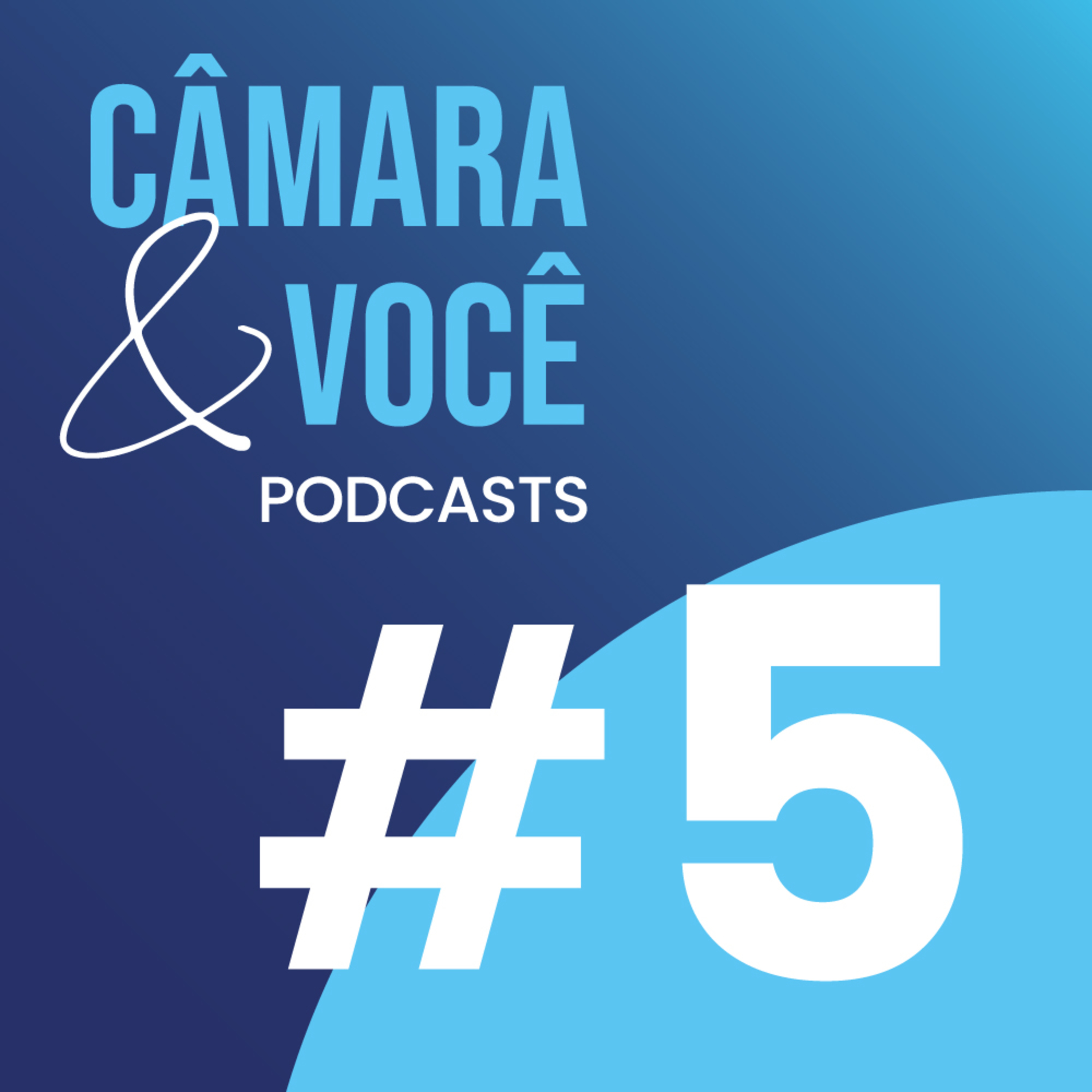 Câmara&Você