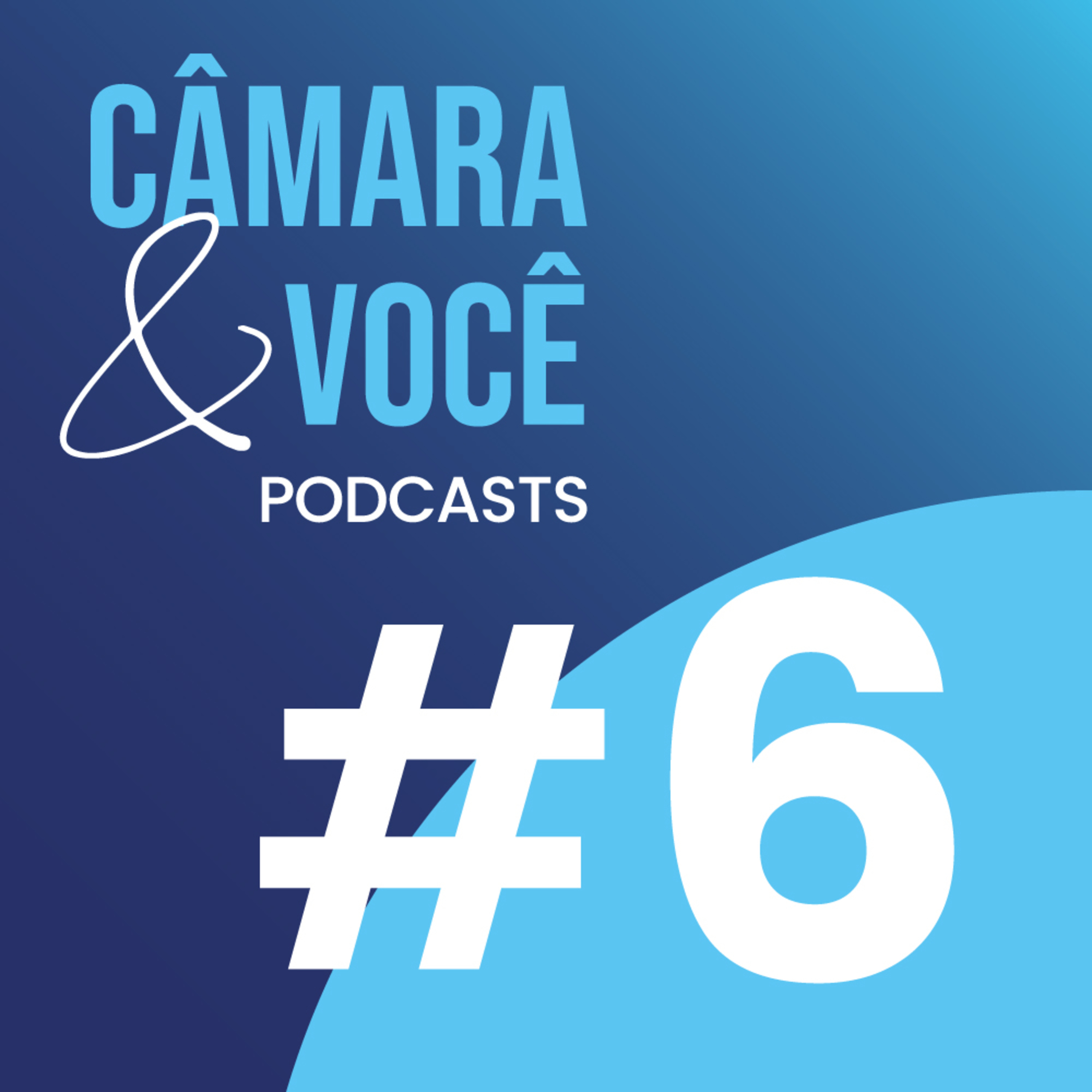 Câmara&Você