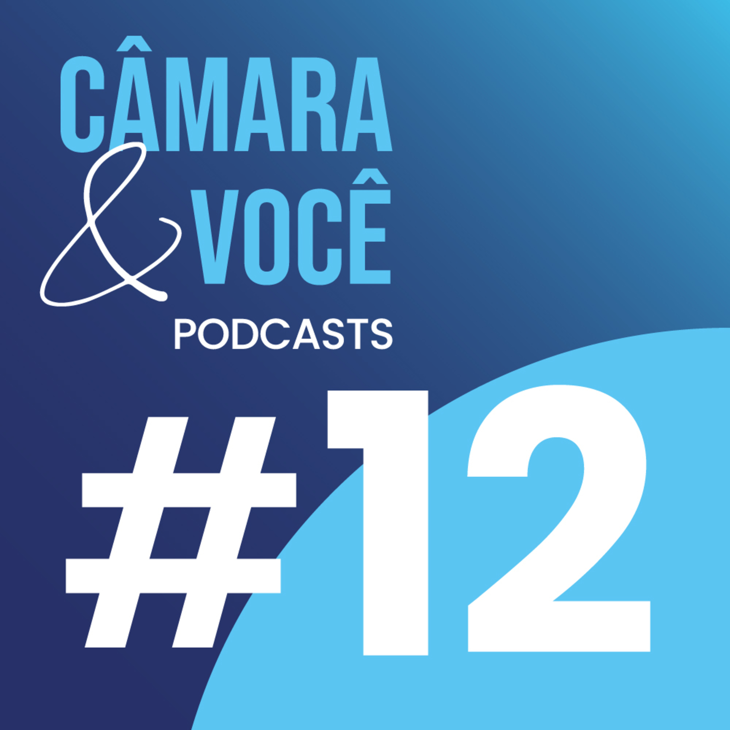Câmara&Você