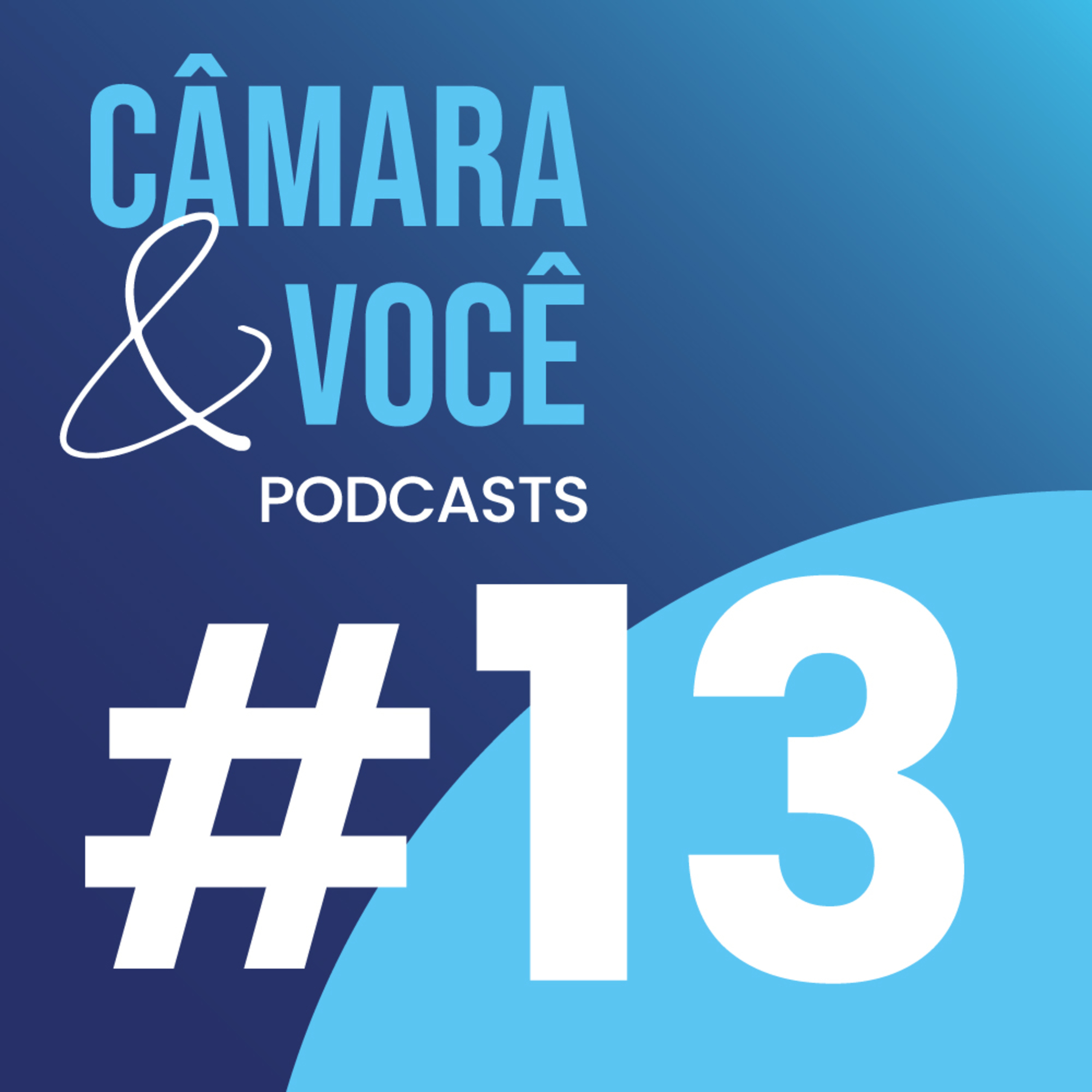 Câmara&Você