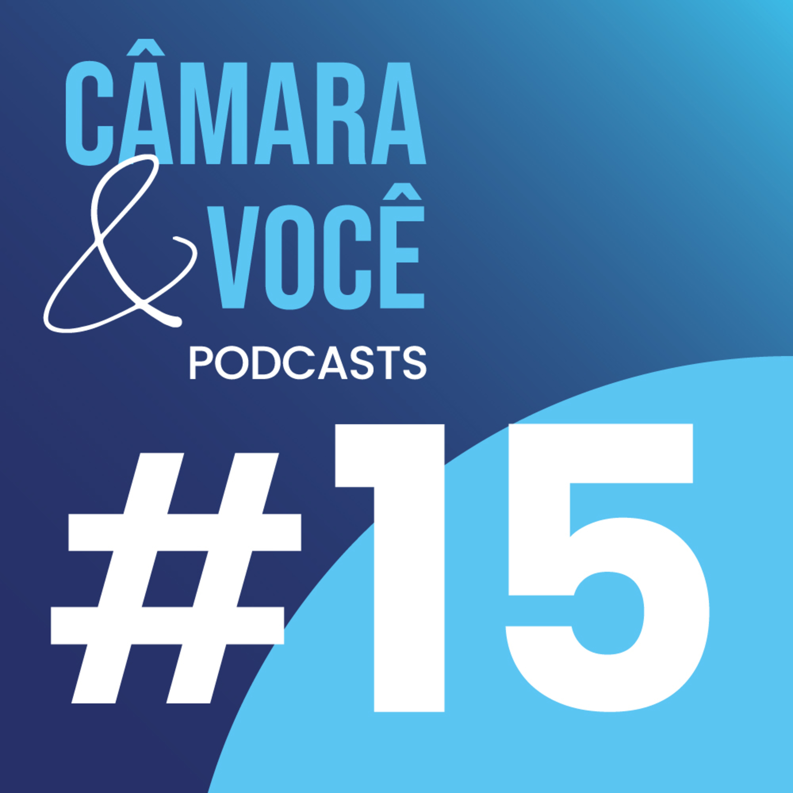 Câmara&Você