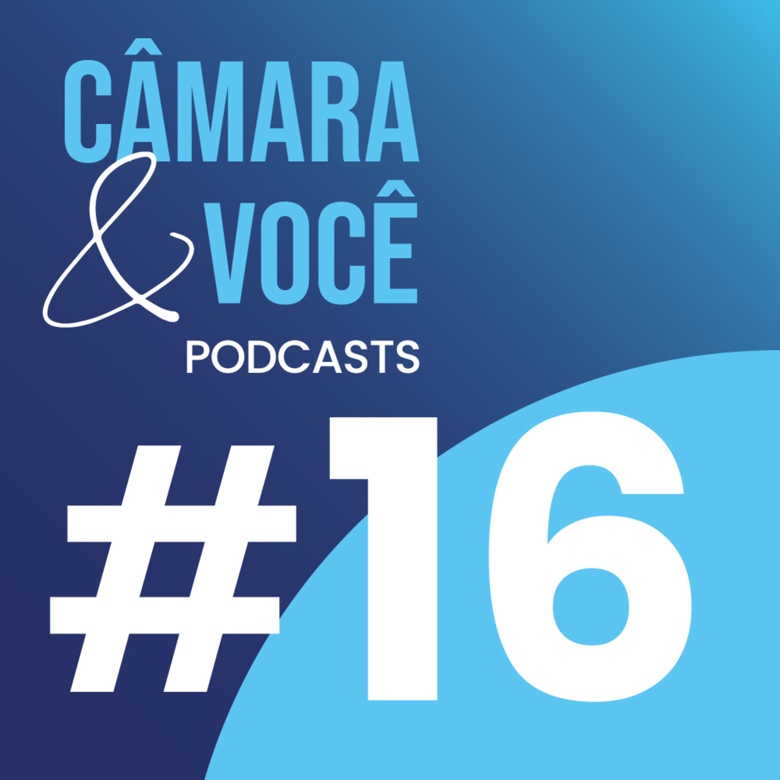 Câmara&Você