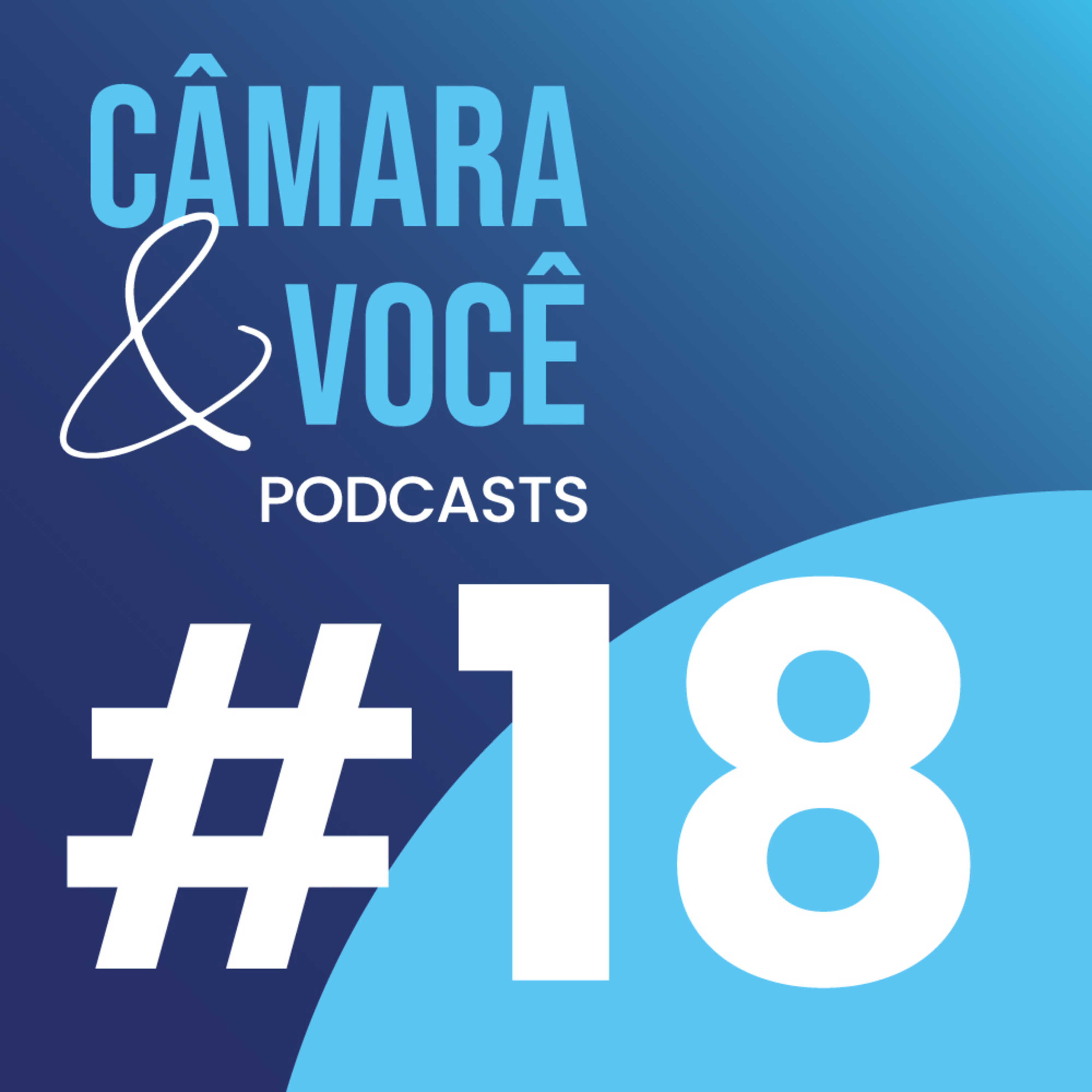 Câmara&Você