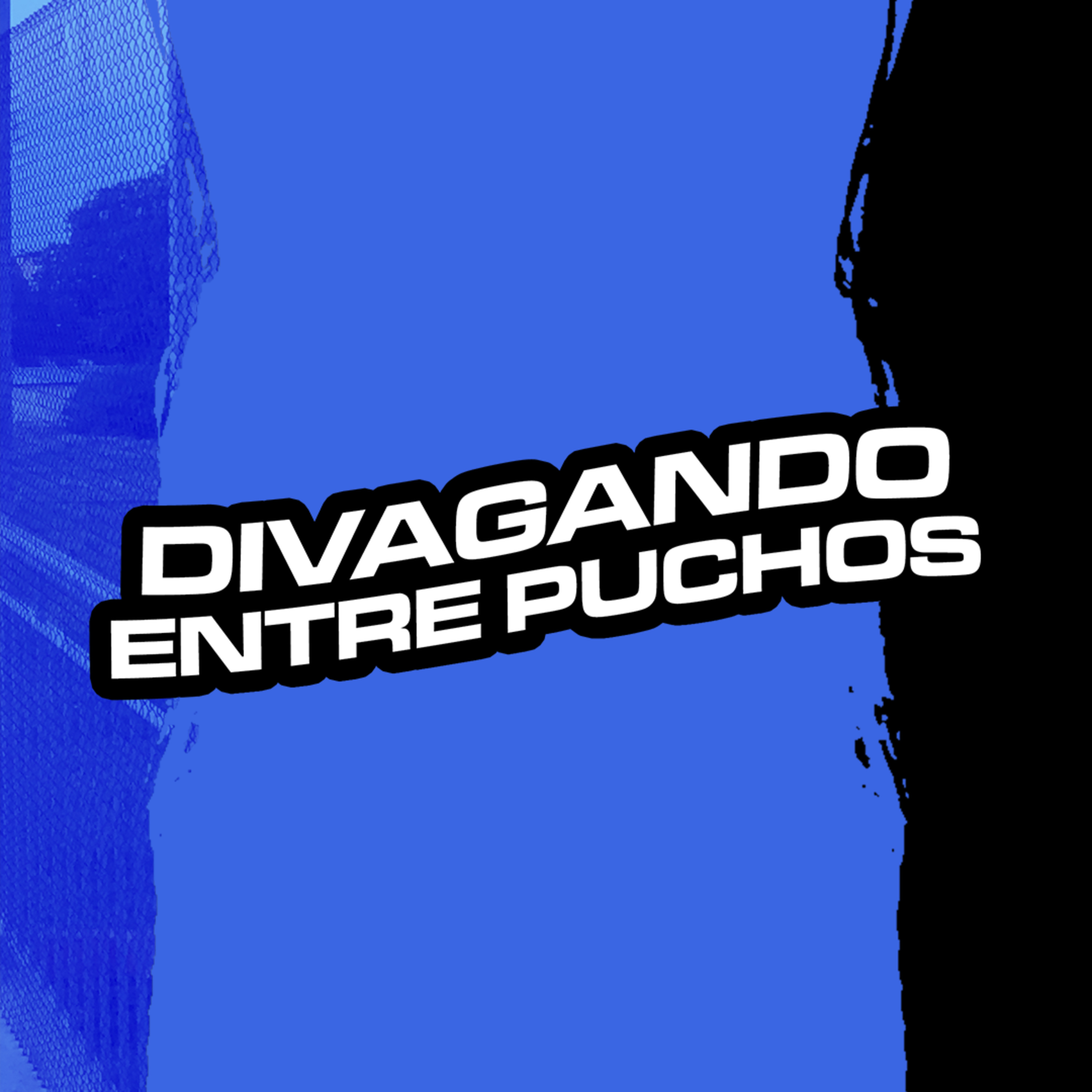 DIVAGANDO ENTRE PUCHOS