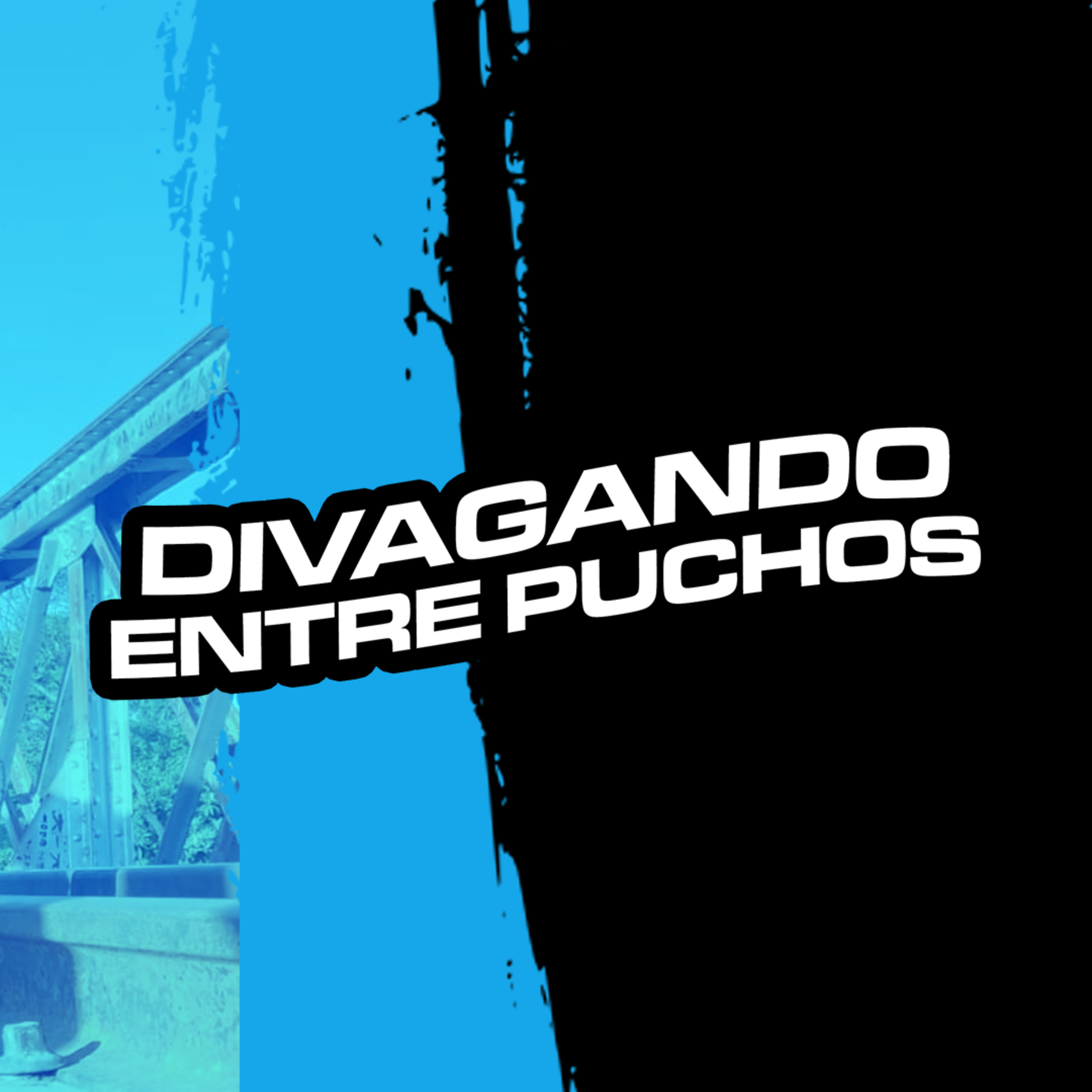 DIVAGANDO ENTRE PUCHOS