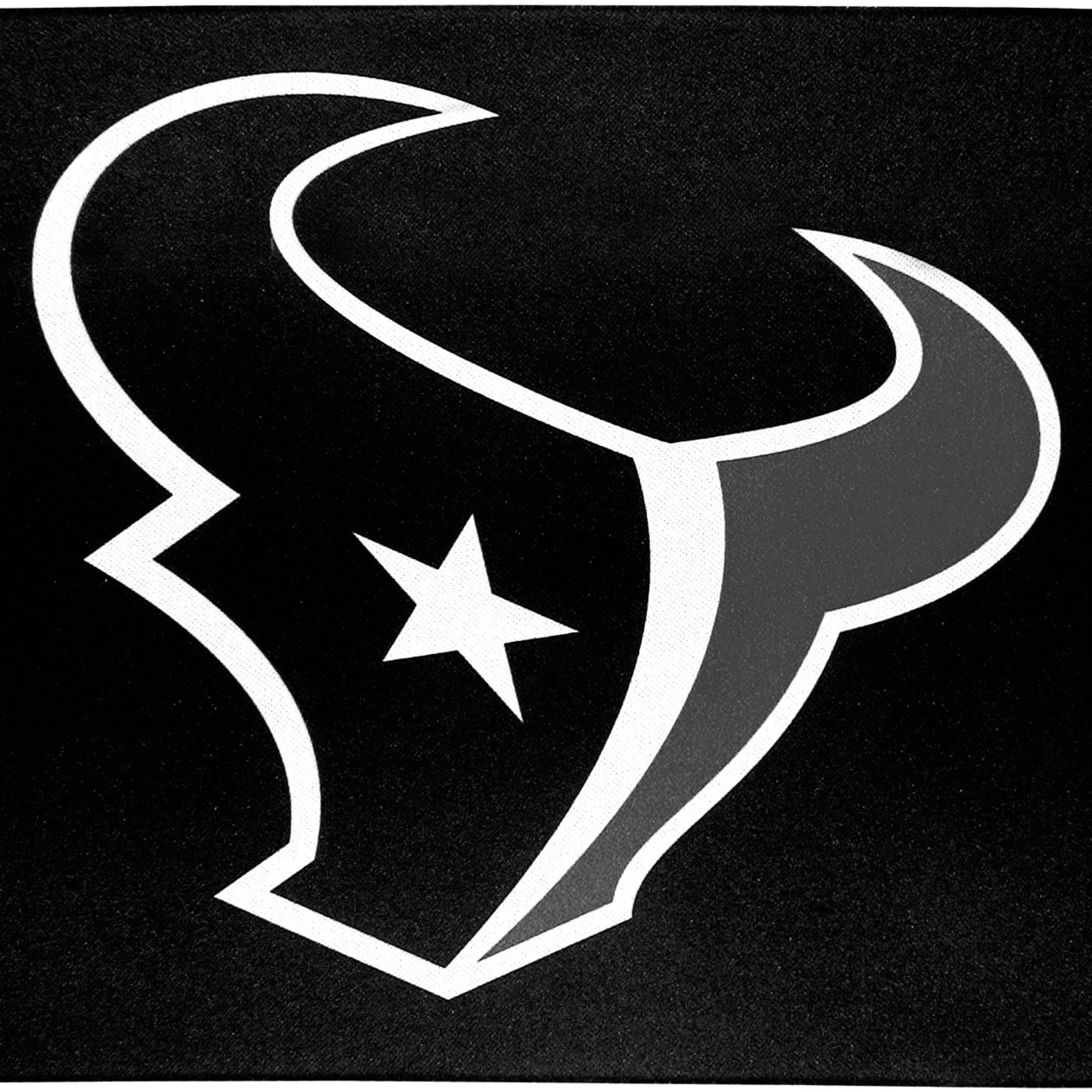 5. Houston Texans episode artwork