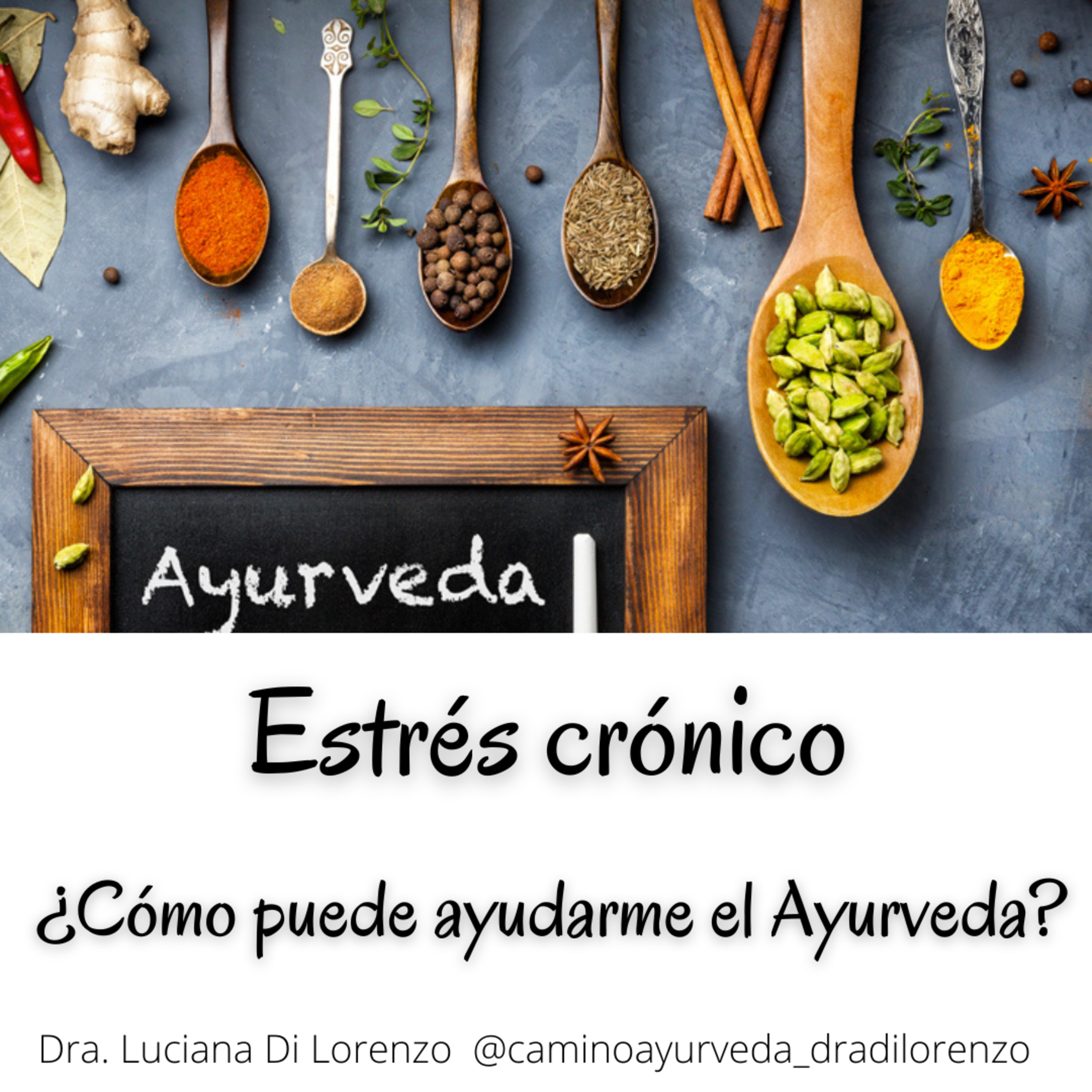 Portada de Camino Ayurveda-Dra. Luciana Di Lorenzo