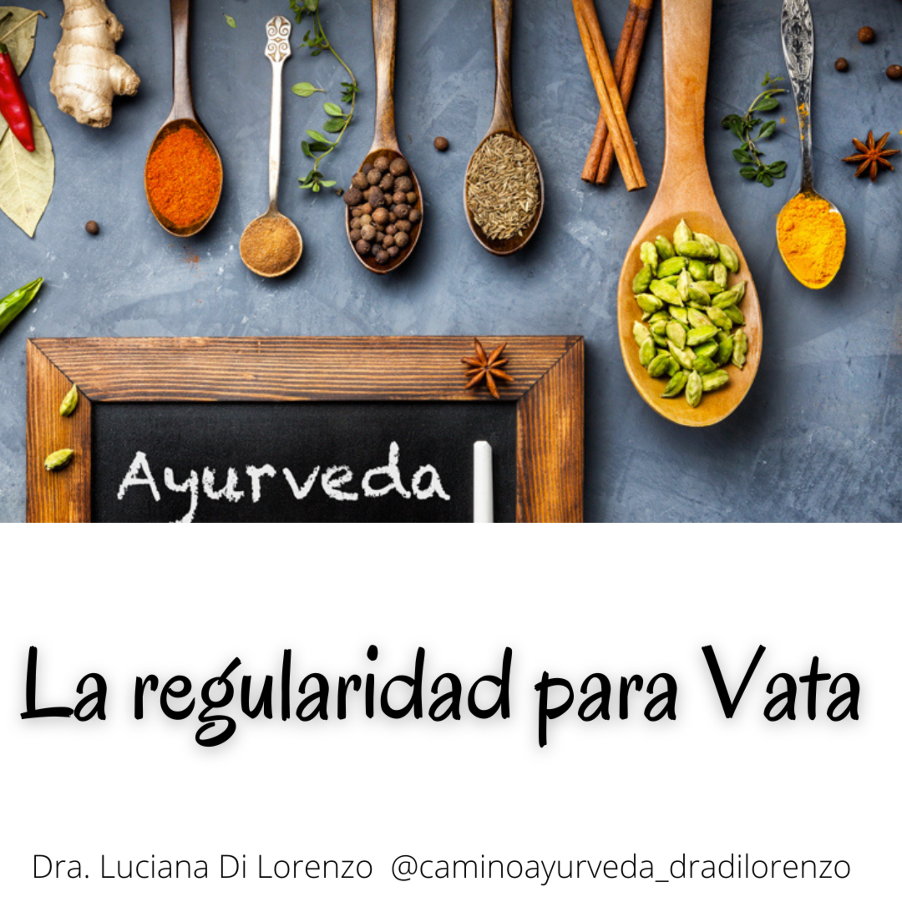 Portada de Camino Ayurveda-Dra. Luciana Di Lorenzo