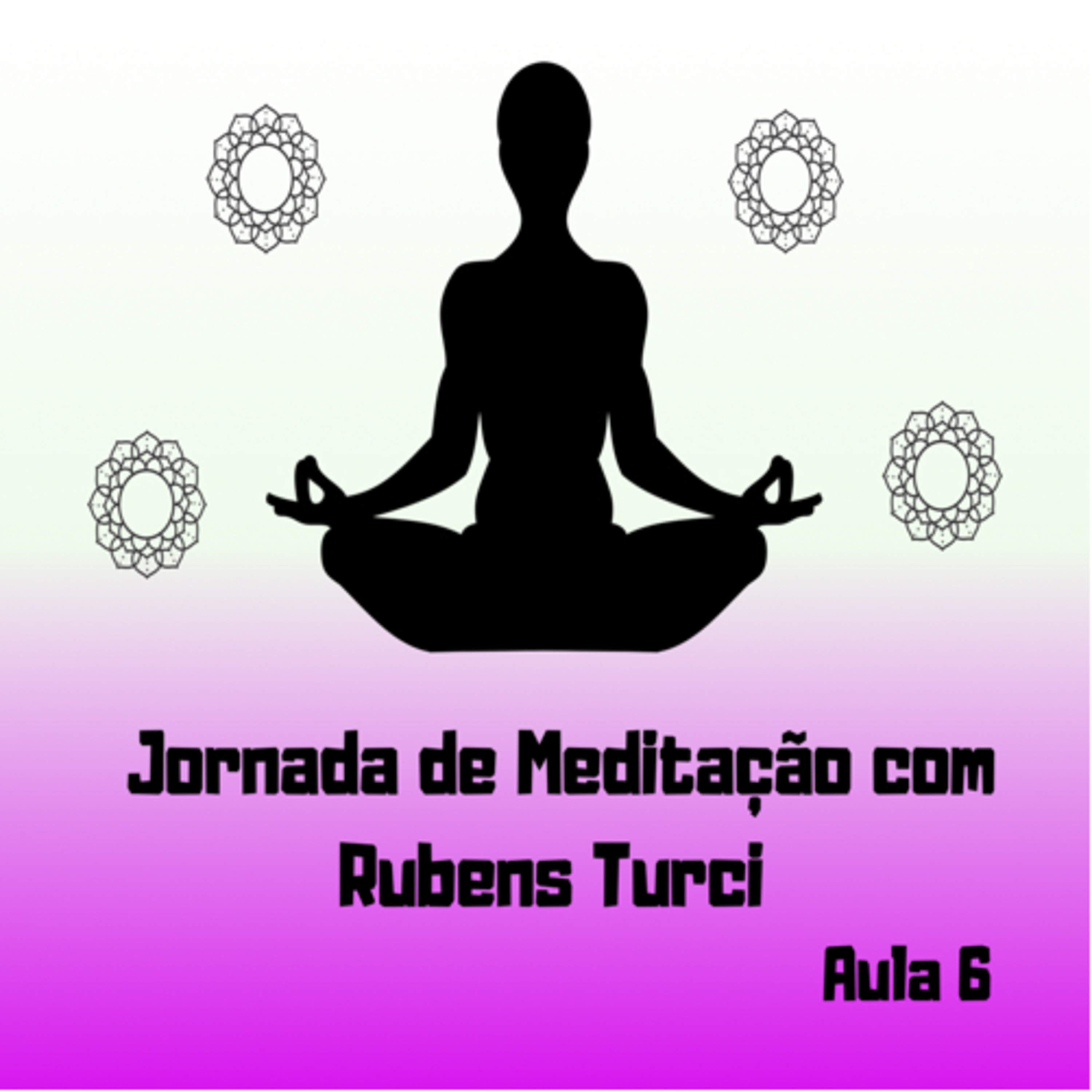 Aula 6 de Mapas - Jornada de Meditação com Rubens Turci episode artwork