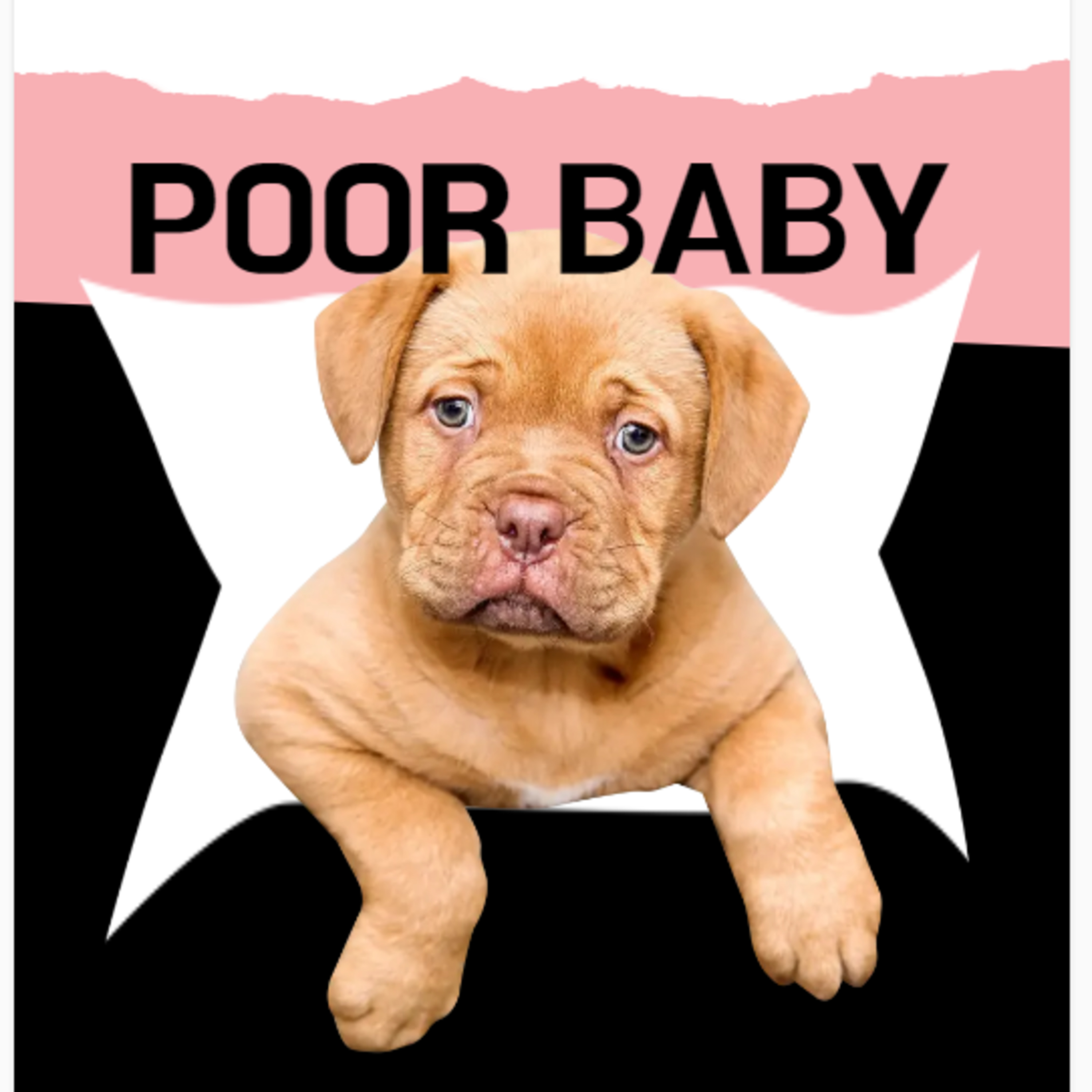 Poor Baby