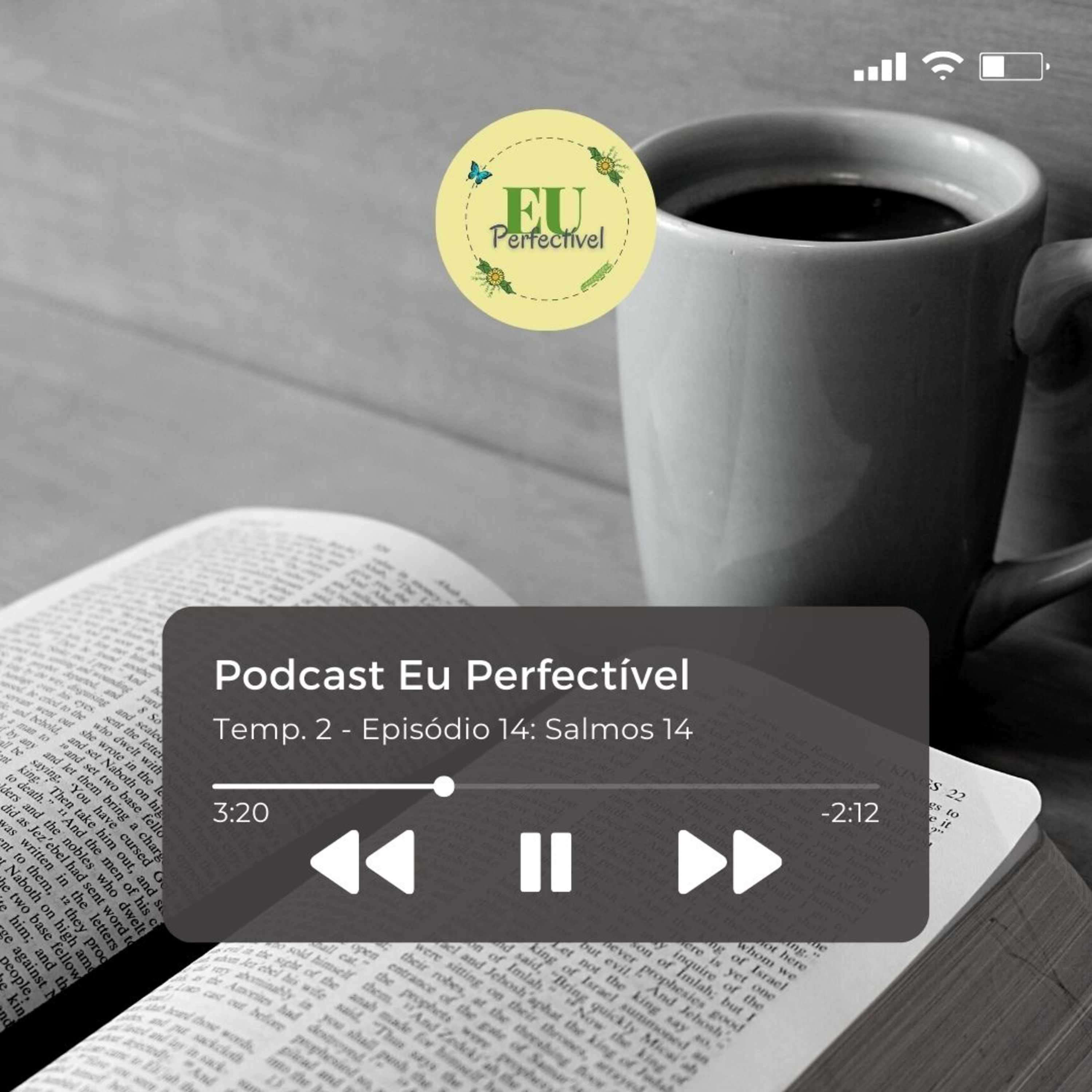 Leitura Bíblica Podcast (Bíblia em áudio)