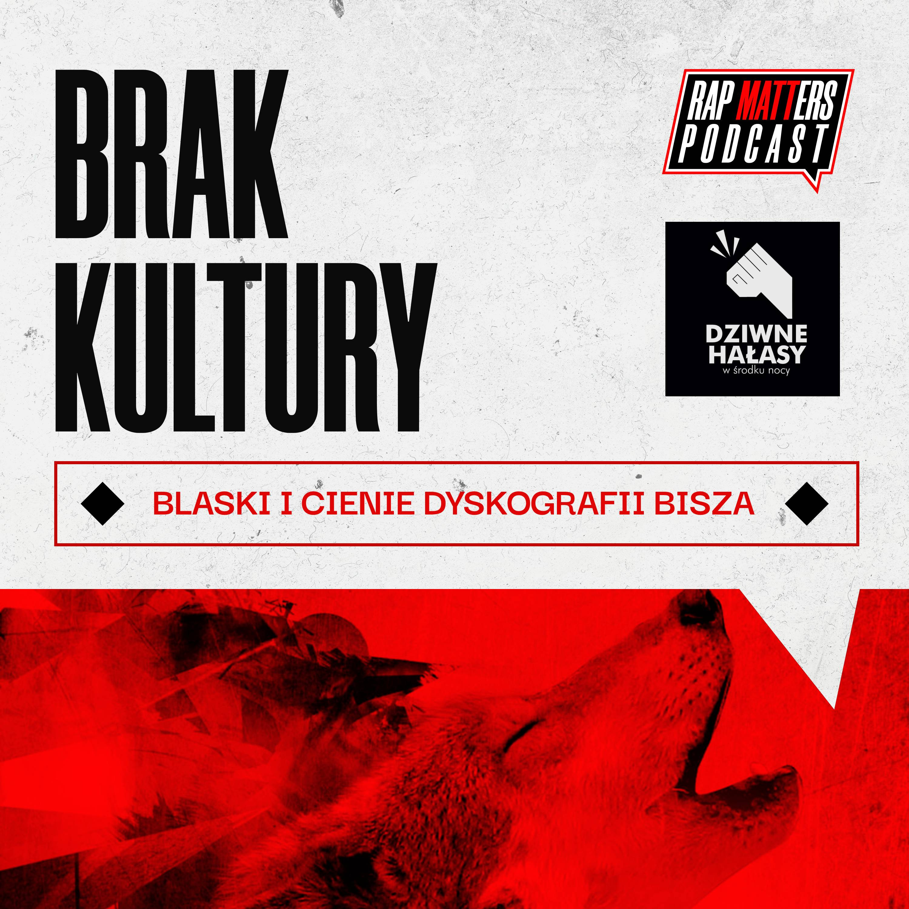Cienie i blaski dyskografii Bisza (ft. Marcin Półtorak, Rafał Samborski) episode artwork