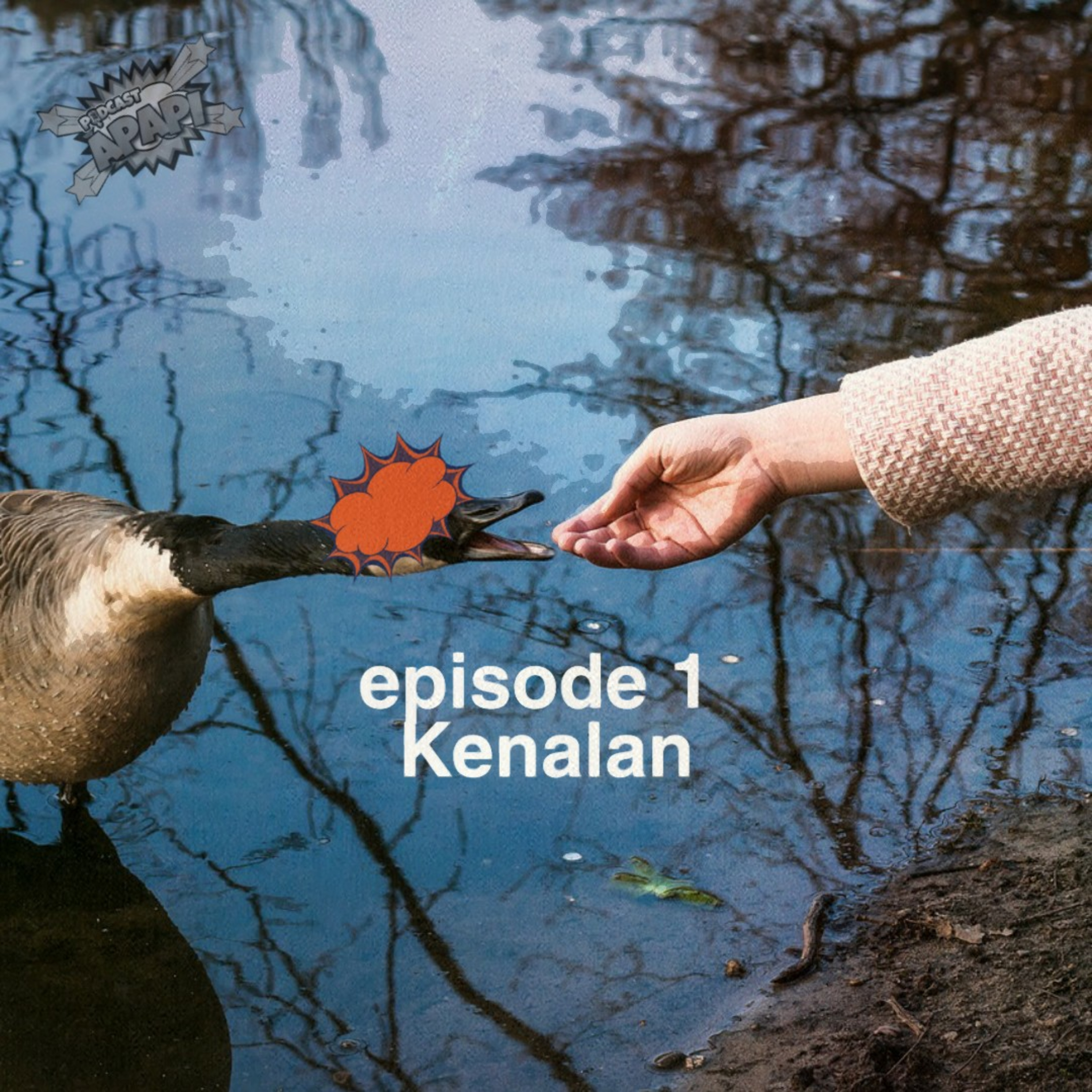 POPAPI (Podcast Apapi)