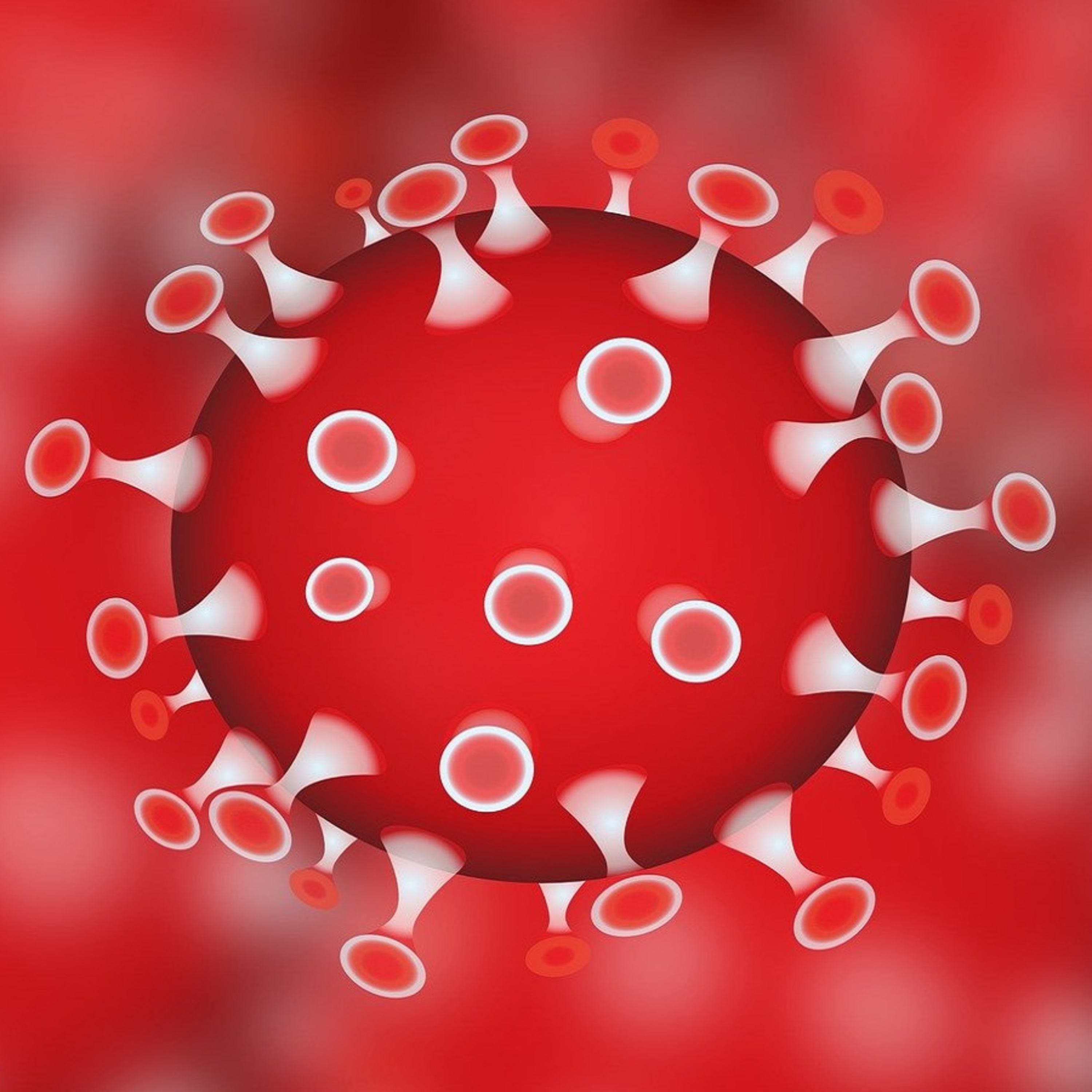 Novel Coronavirus in New Mexico, Socialism Defined, ICE Activity episode artwork