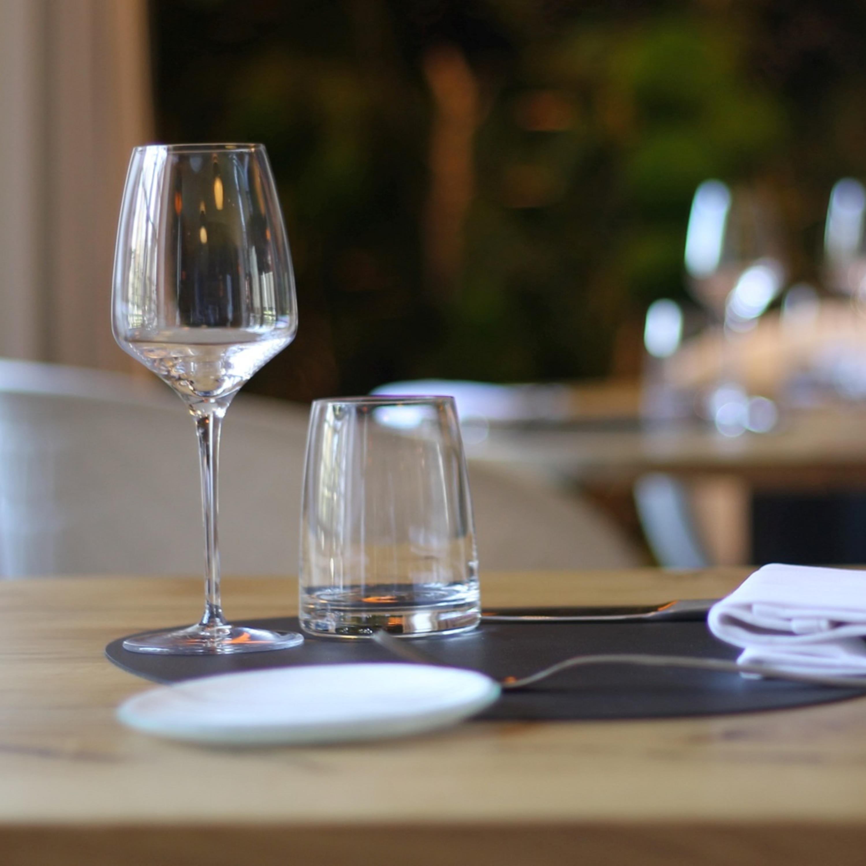 New Mexico in Focus (A Production of NMPBS)