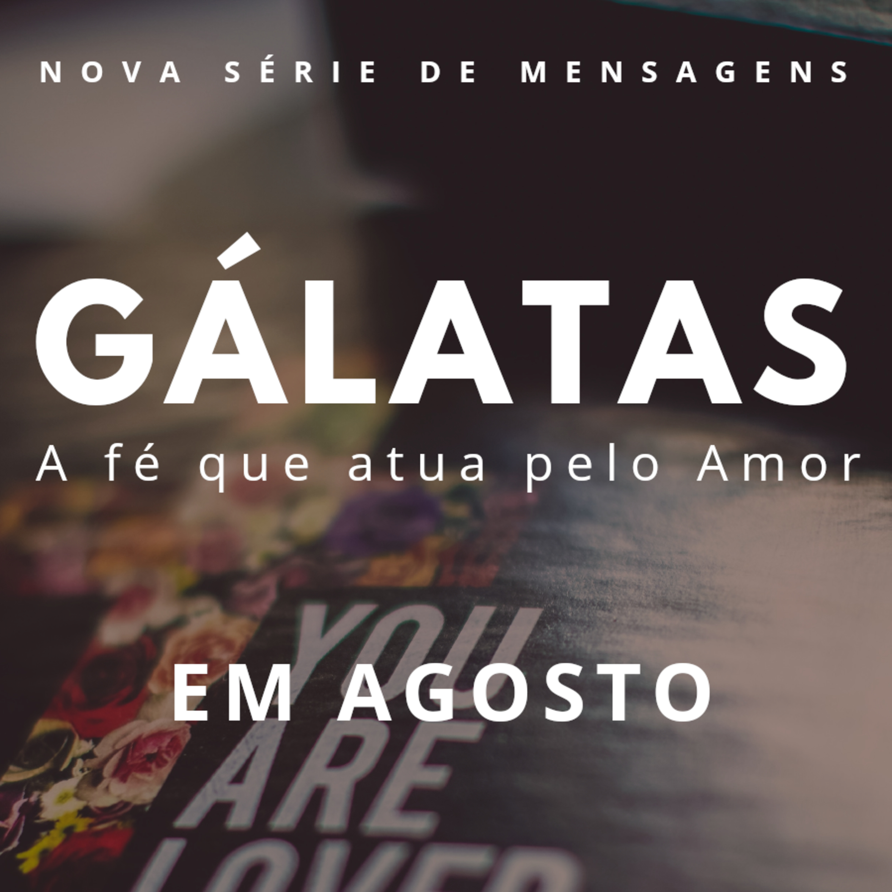 IMEL VILA MORAES