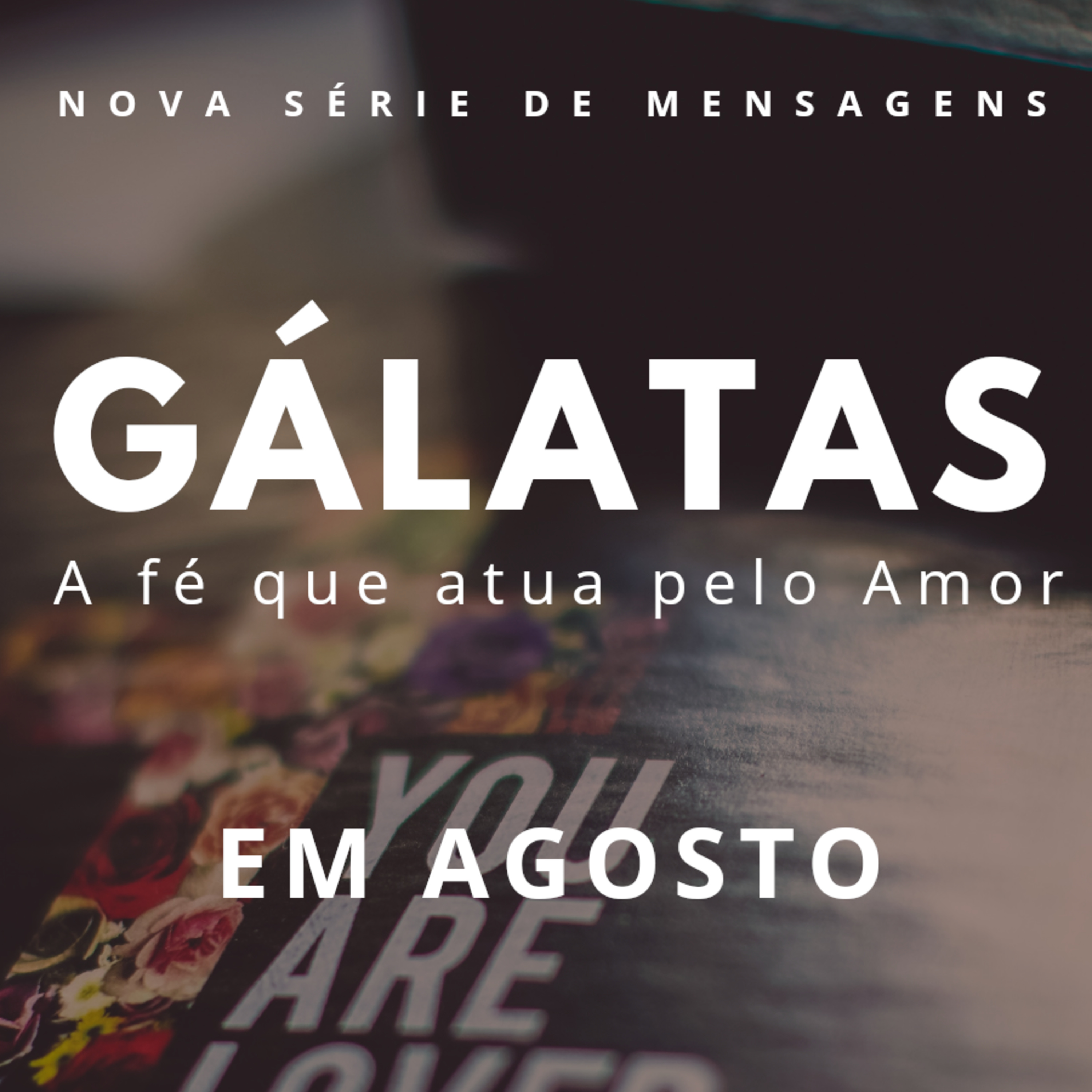 IMEL VILA MORAES