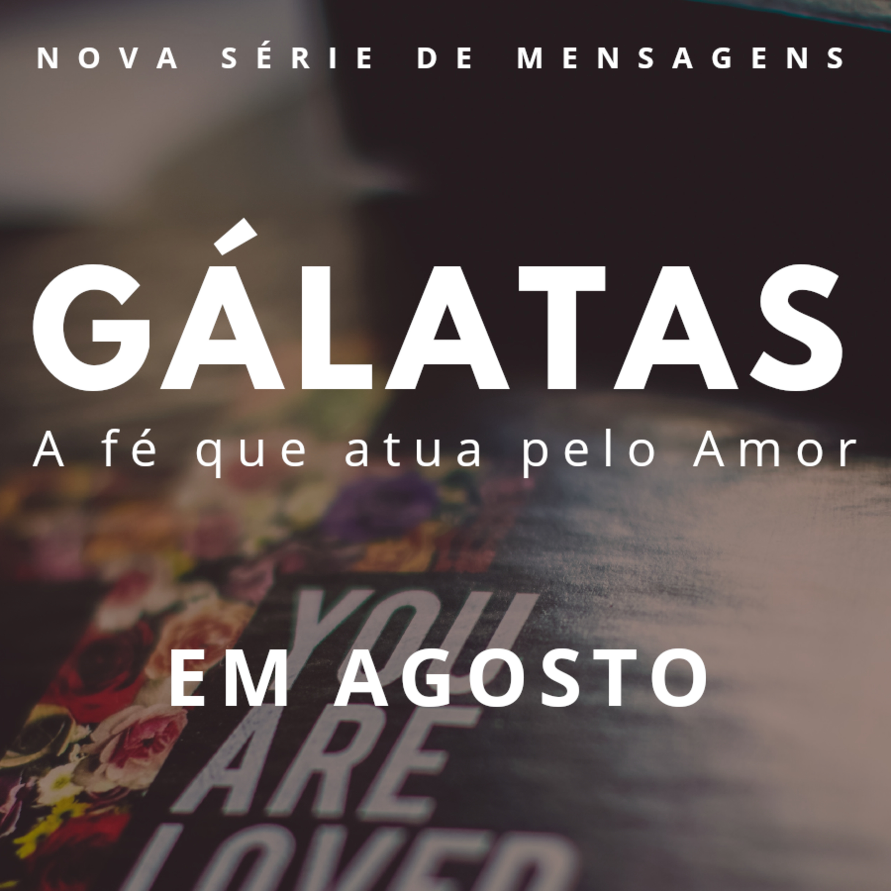 IMEL VILA MORAES