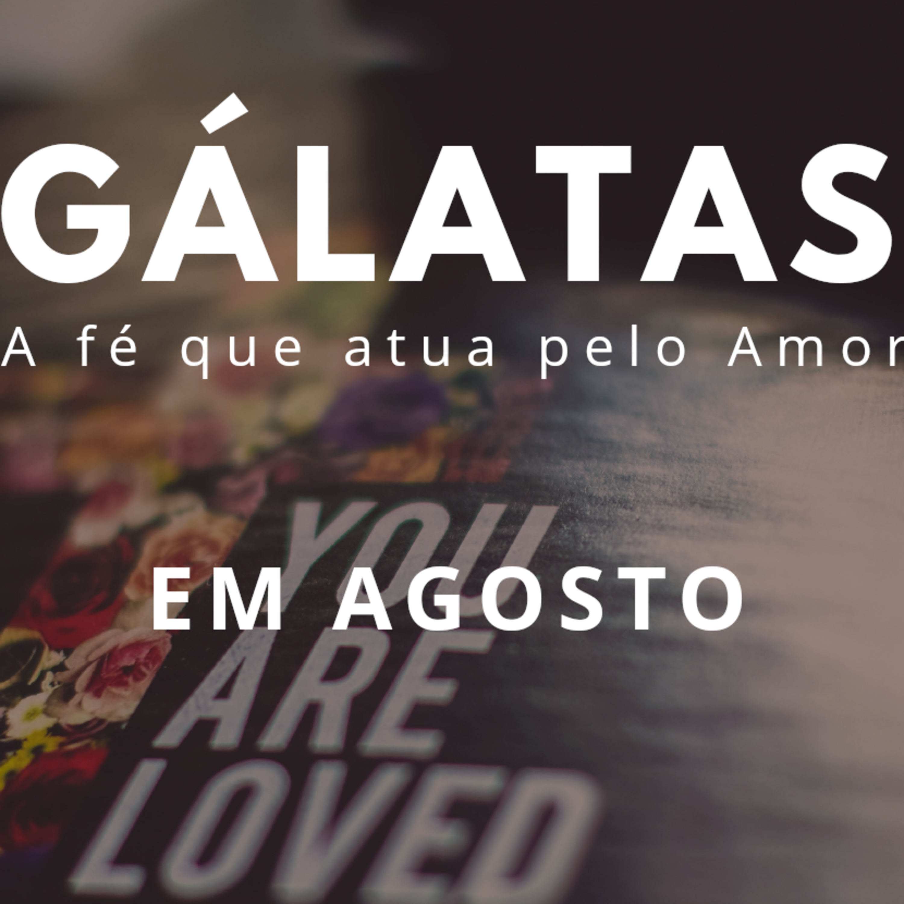 IMEL VILA MORAES