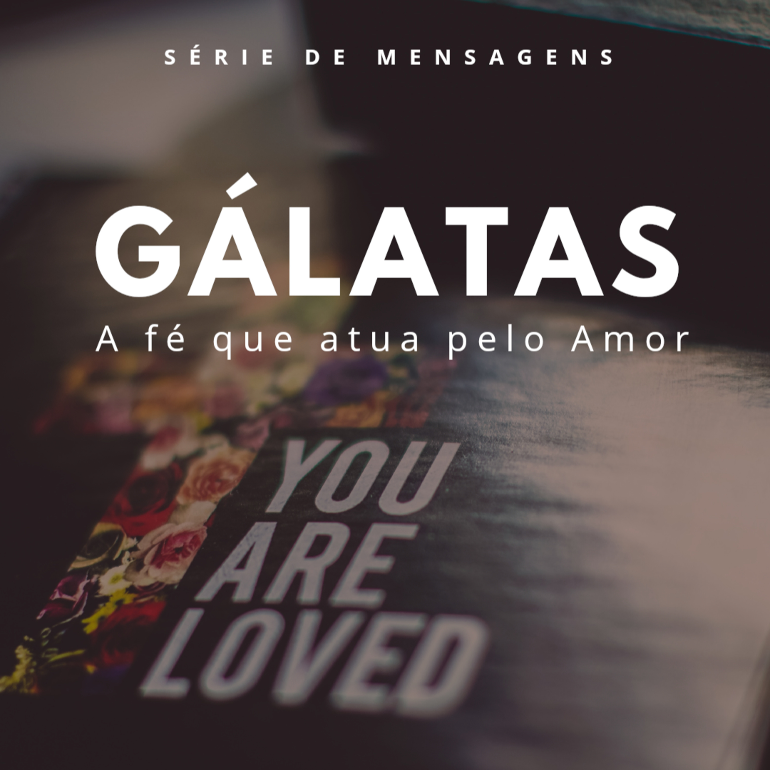 IMEL VILA MORAES