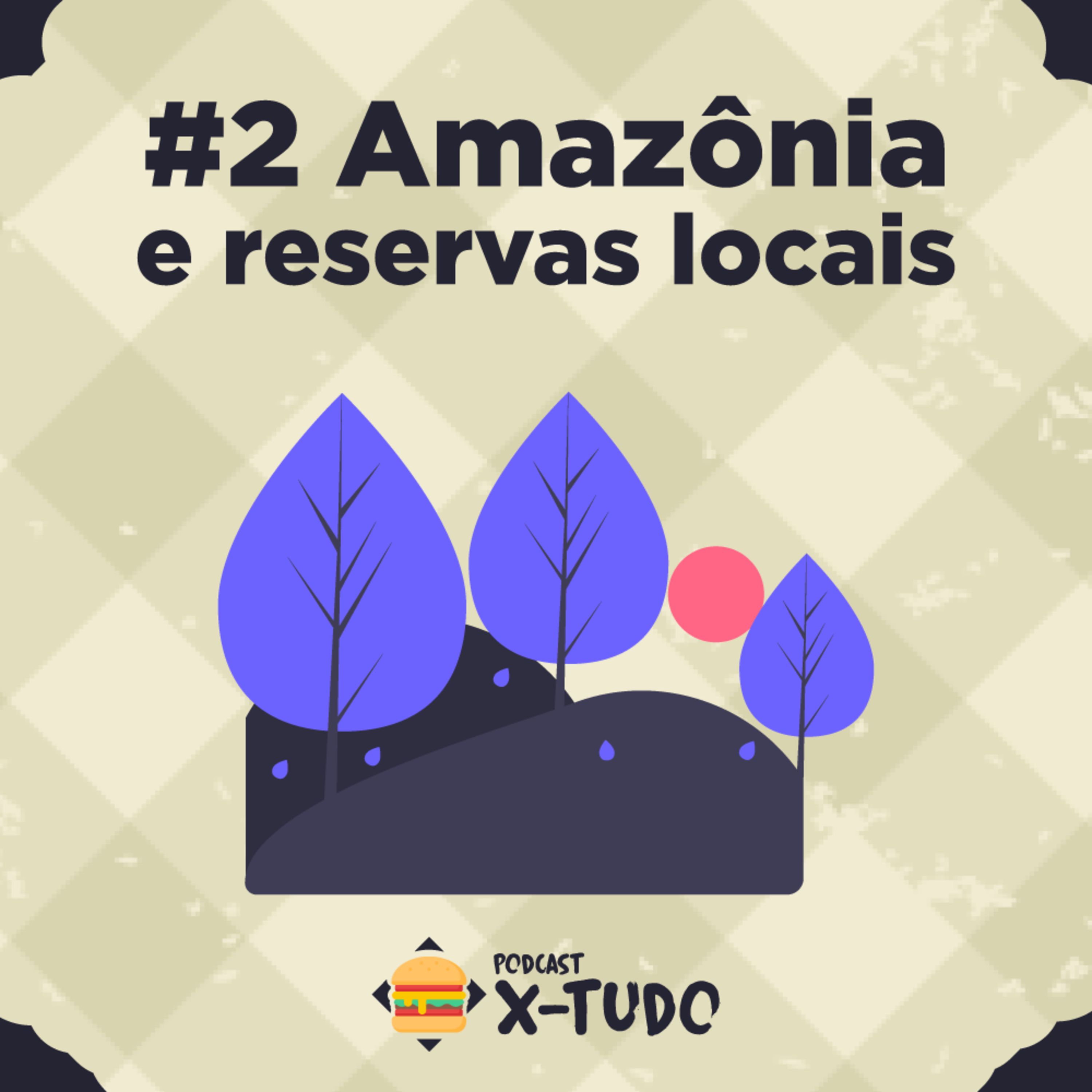 #2 Amazônia e Reservas Locais episode artwork