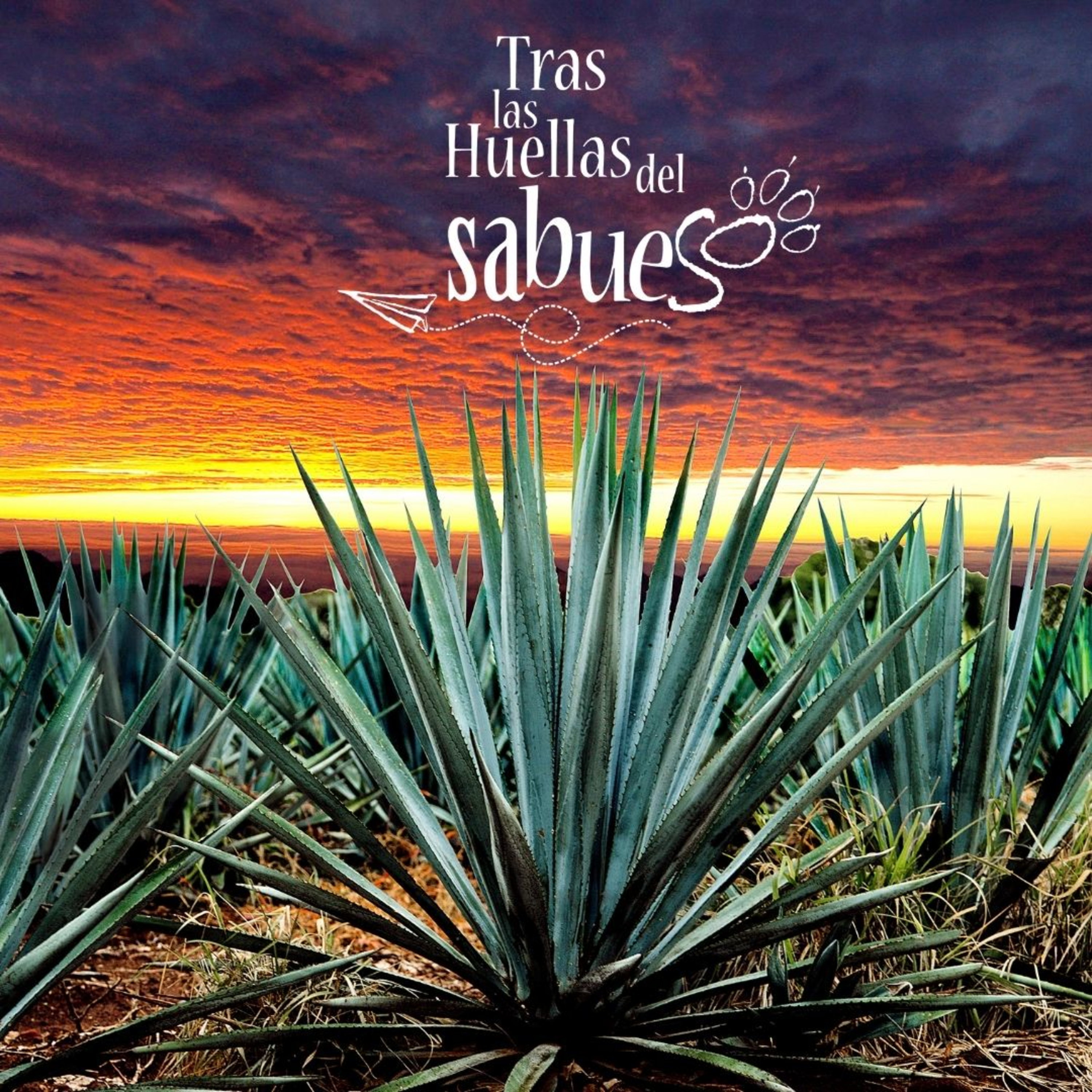 Rumbos de Jalisco