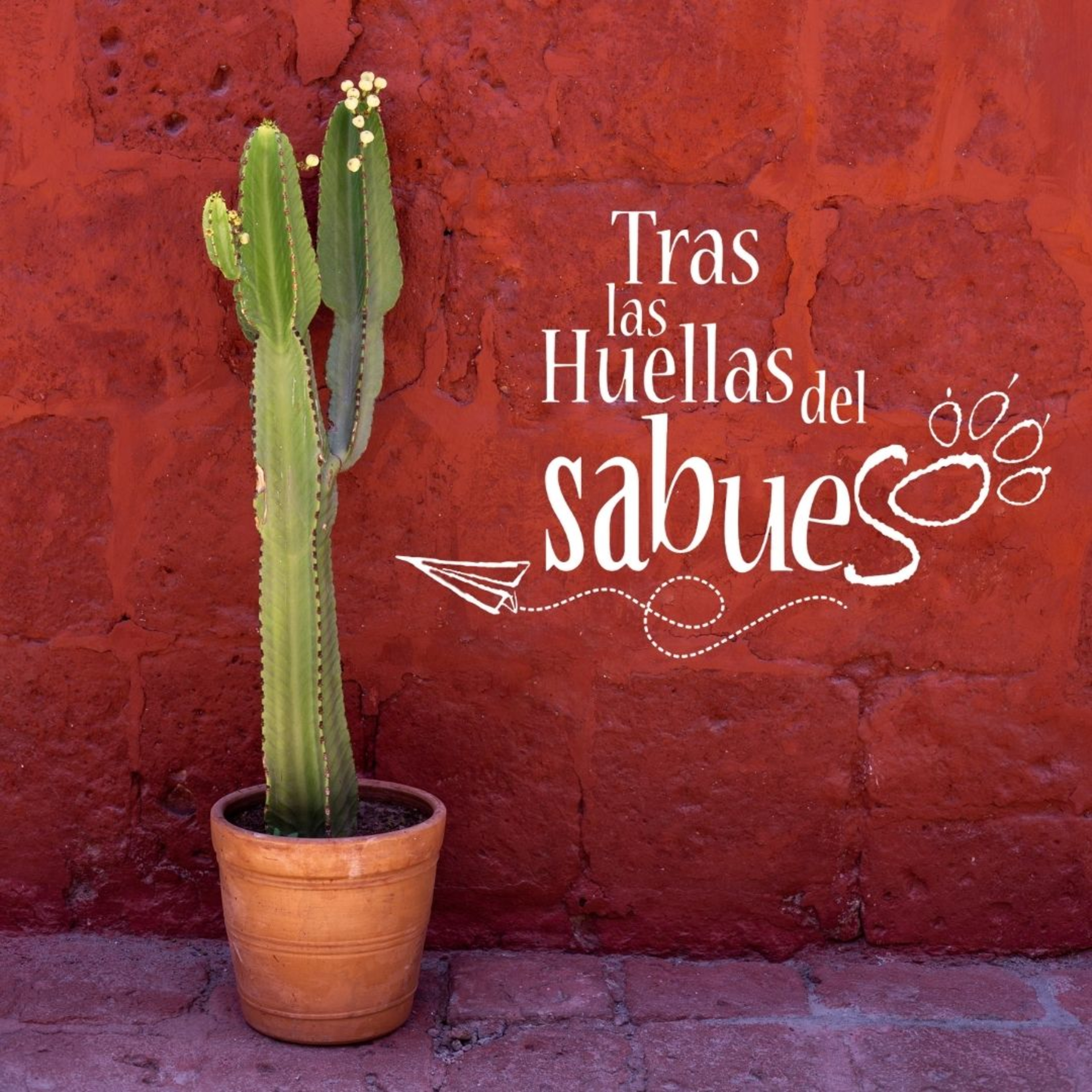 Rumbos de Jalisco