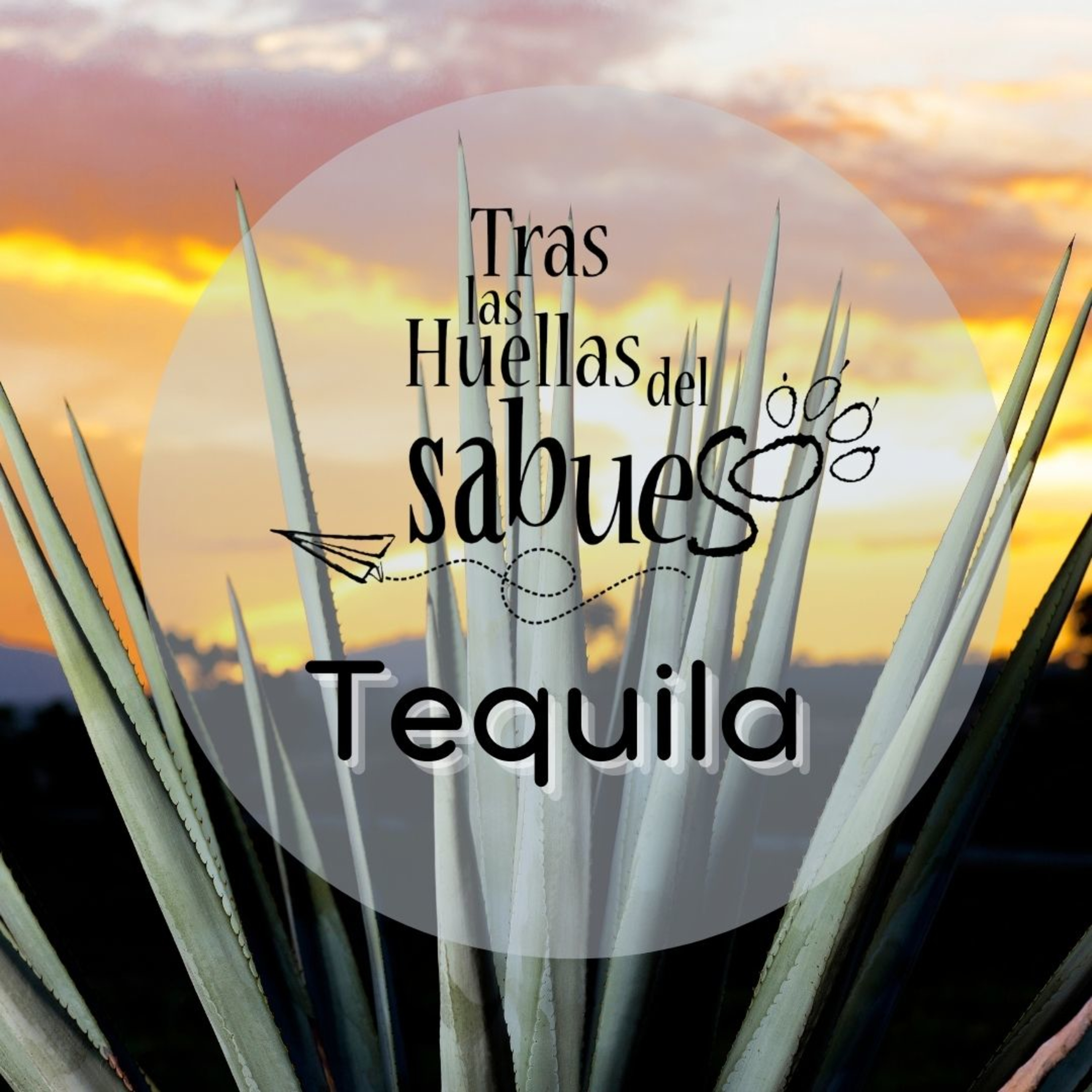 Rumbos de Jalisco