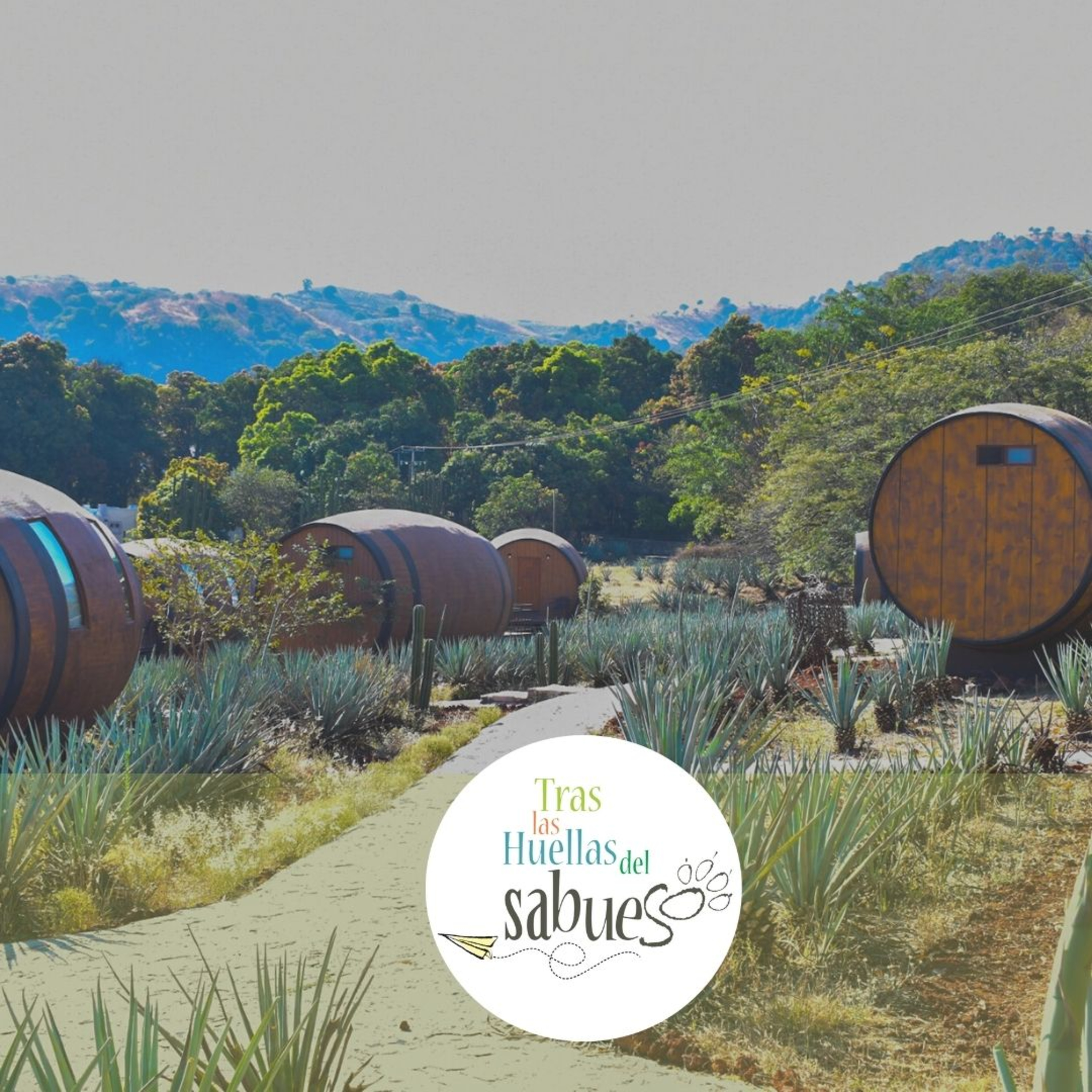 Rumbos de Jalisco