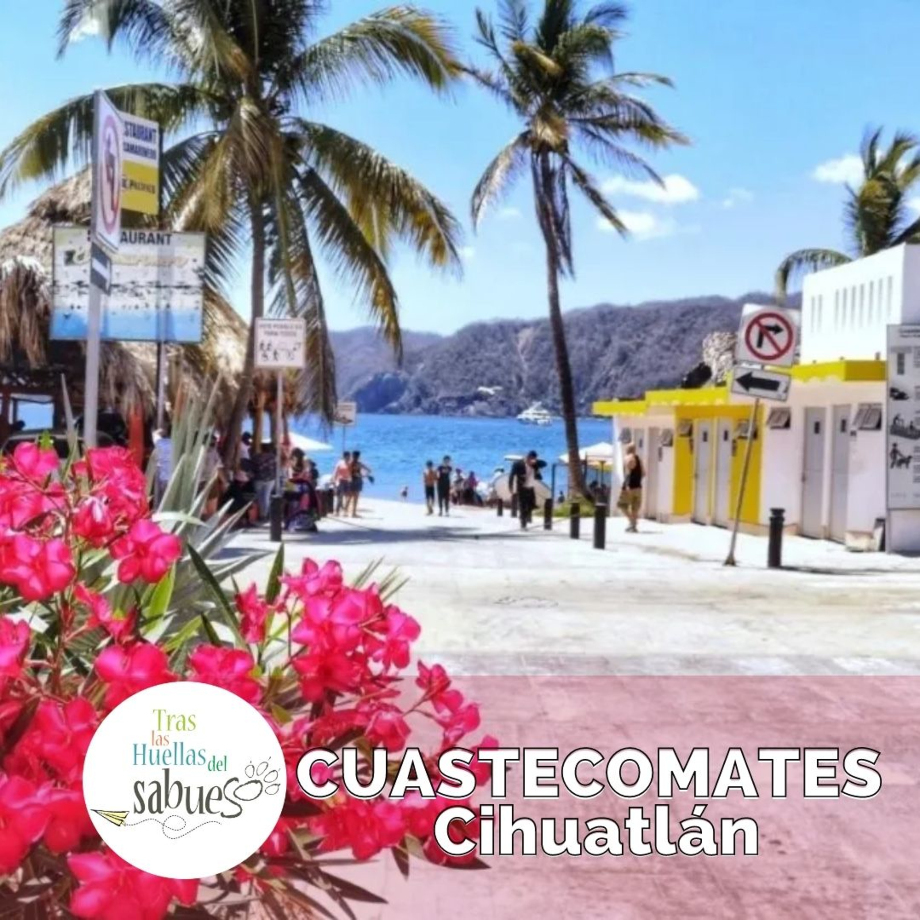Rumbos de Jalisco