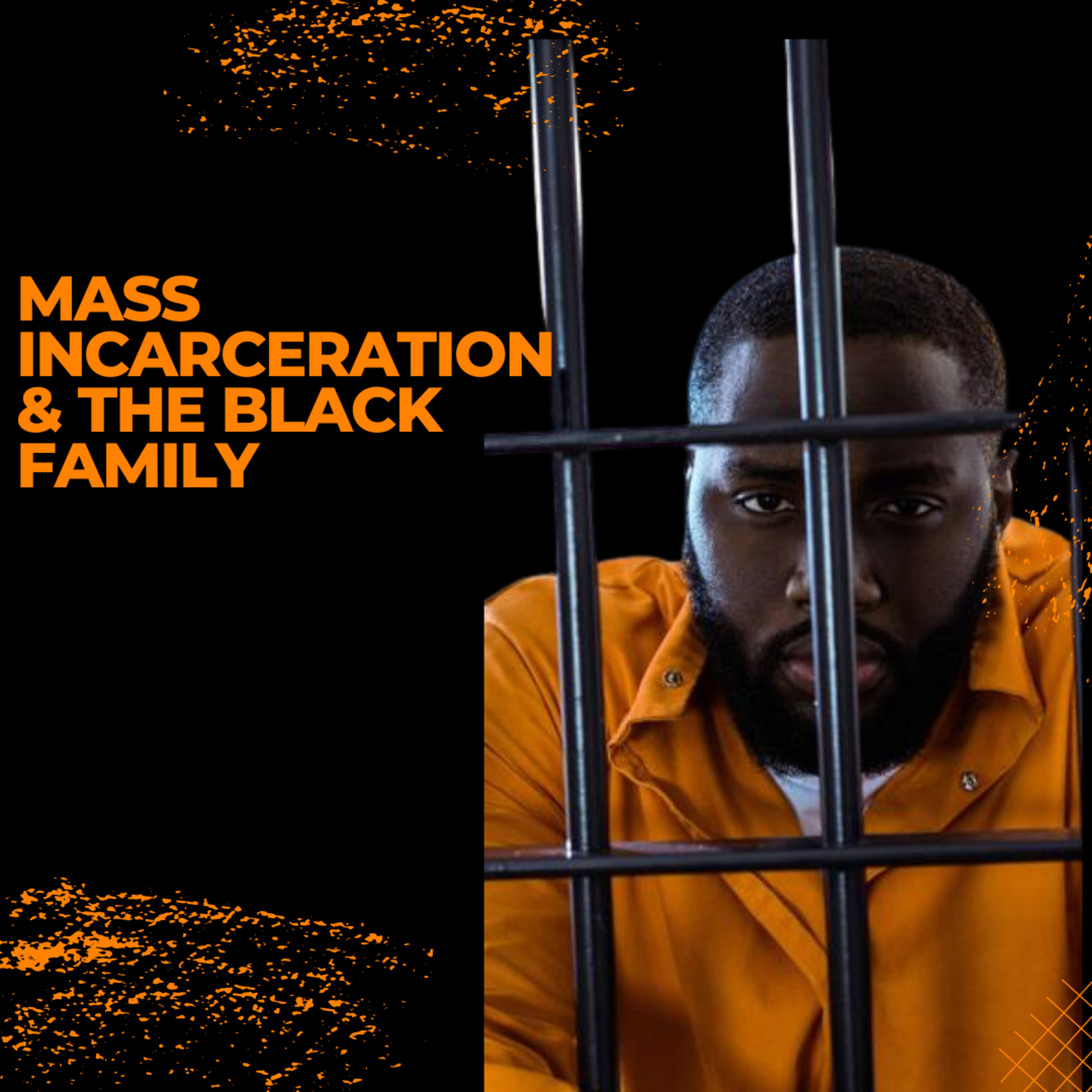Mass Incarceration & The Black Family w/ Author & Entrepreneur Sonia Williams-Lewis episode artwork